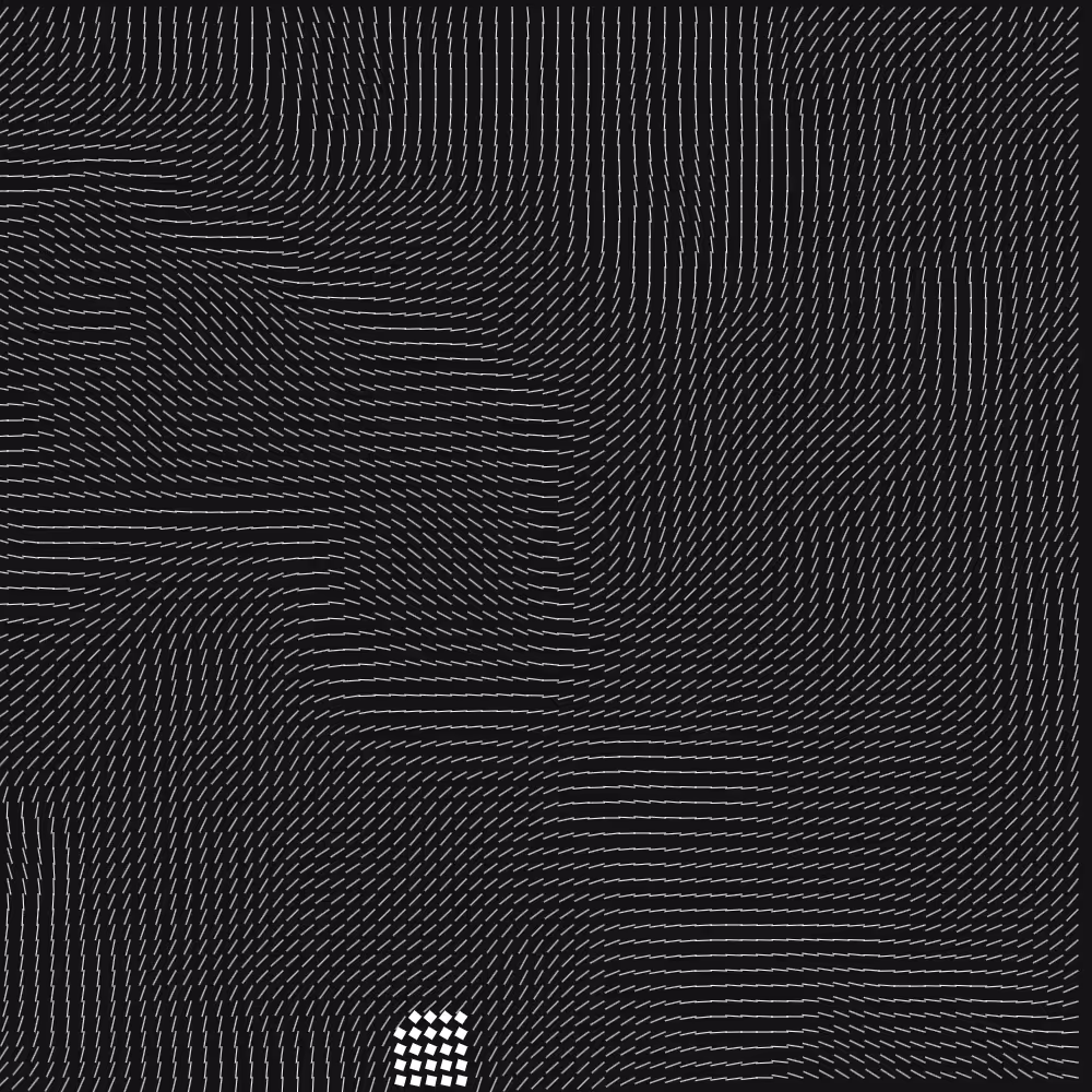 Geometric Fluidity #206
