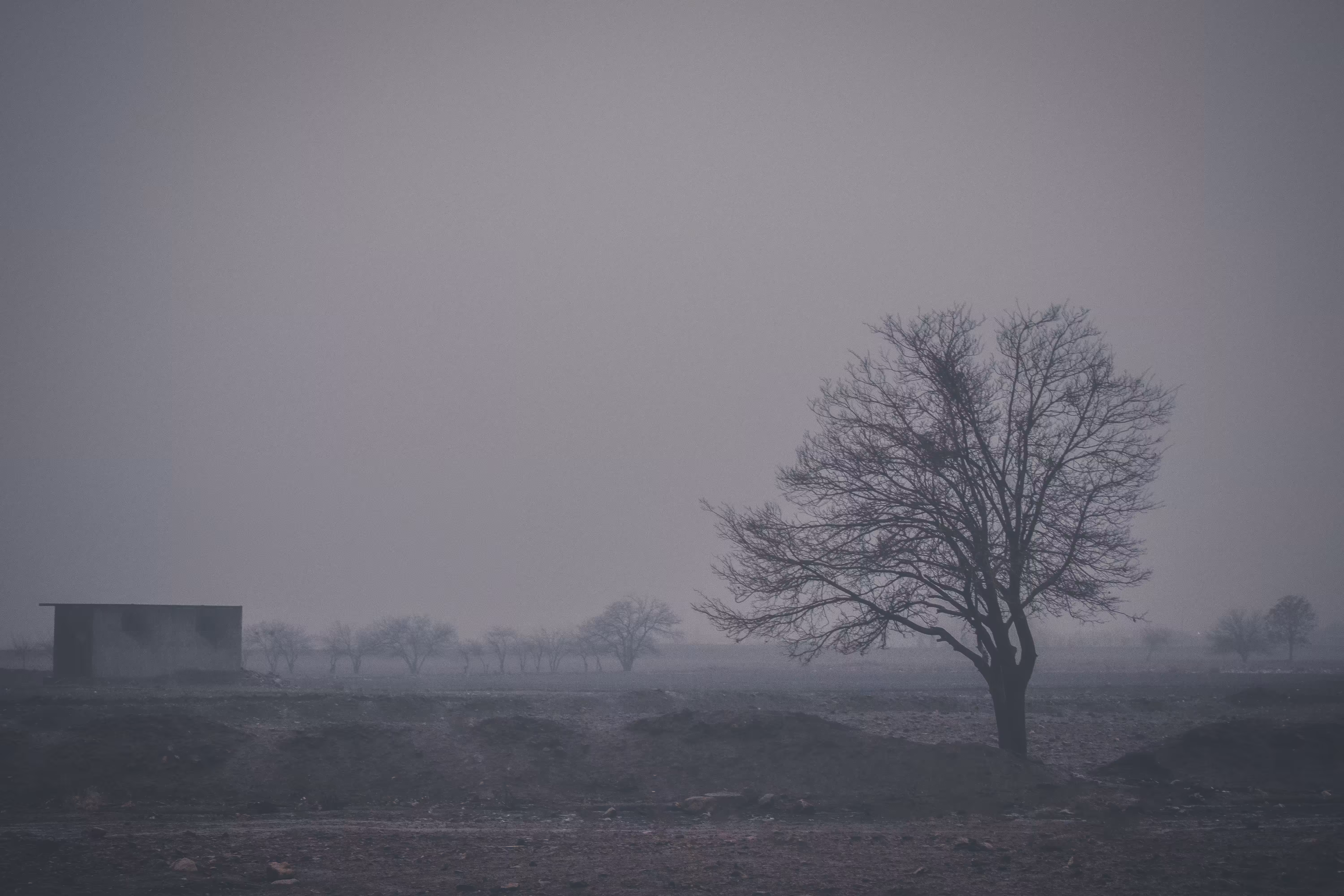 "standing in the fog"