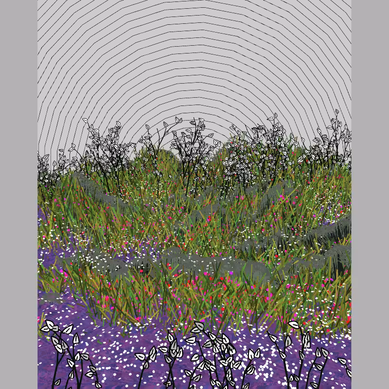 Contours #11