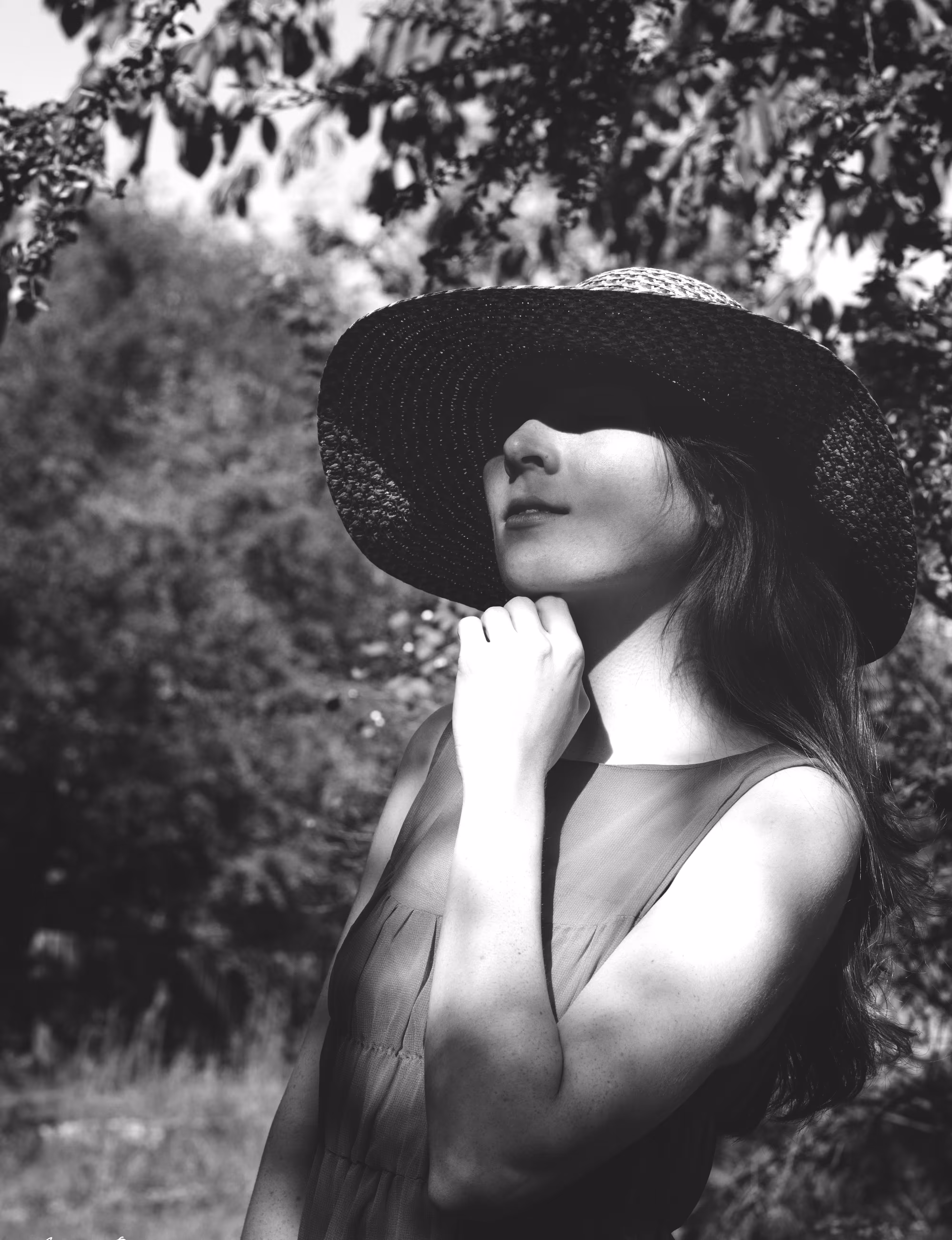 Summer Nostalgia I