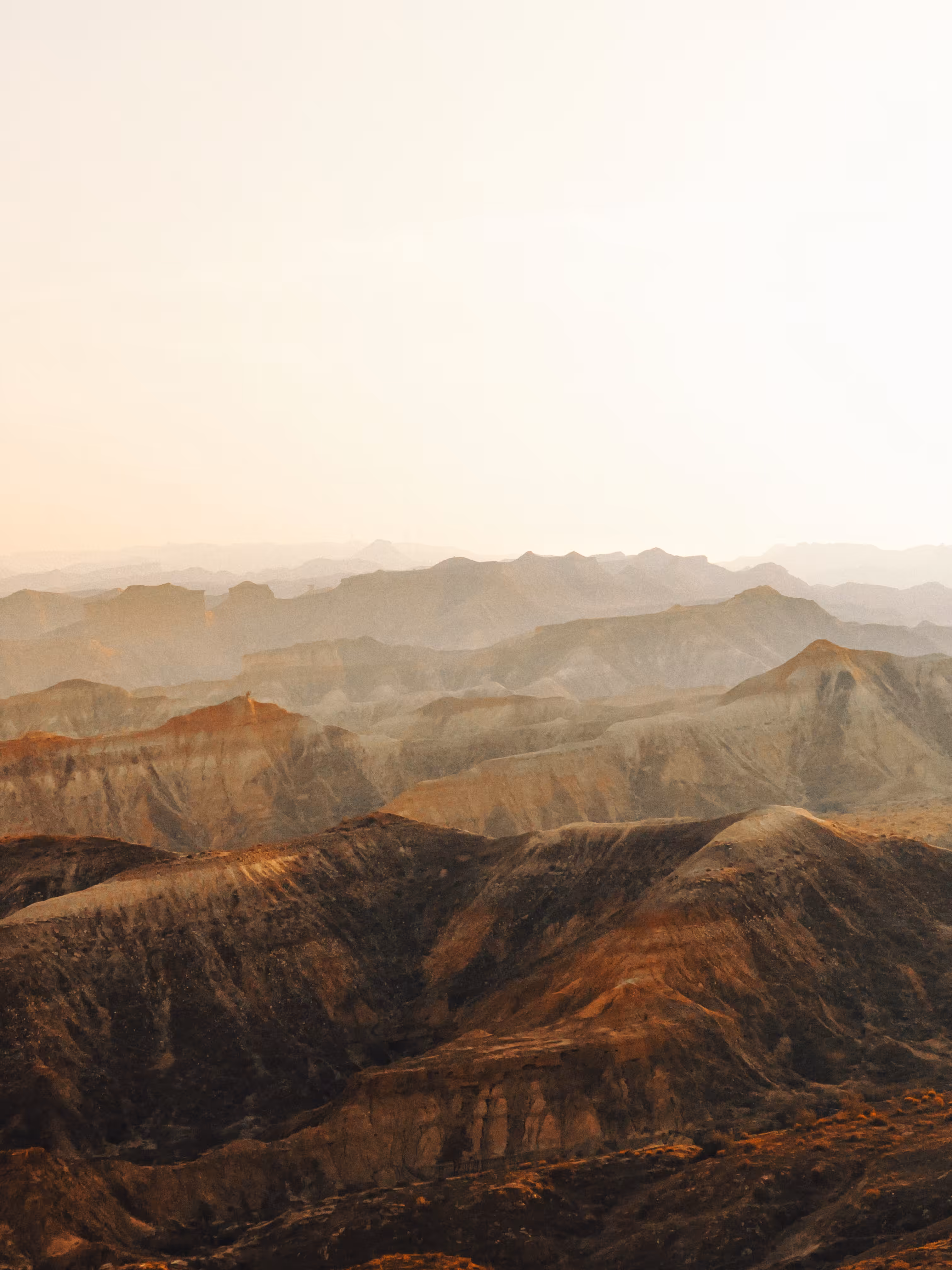 Eternal Horizons