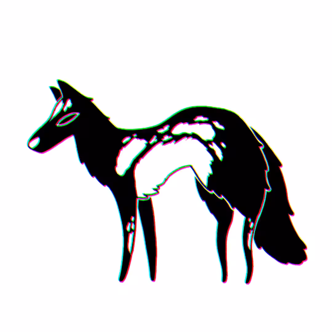 #91 Borzoi