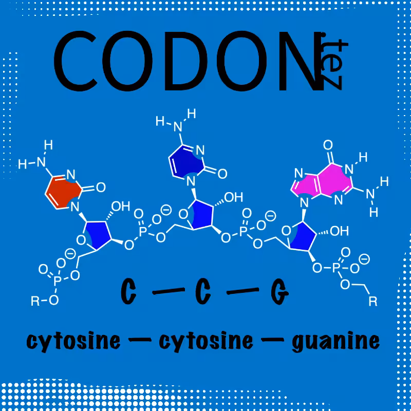 Codon Minter #25