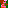 xmas tapeworm