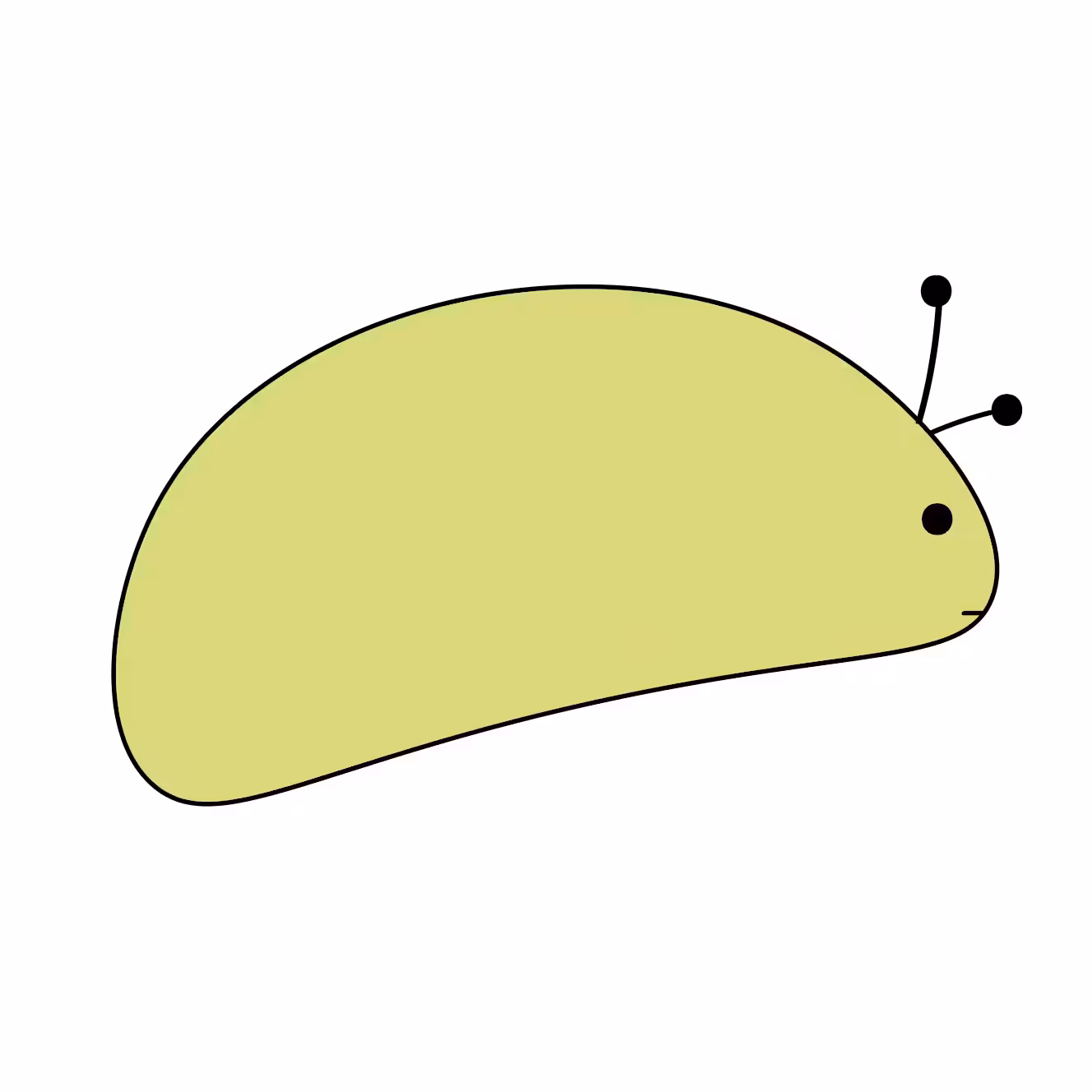 Piq
