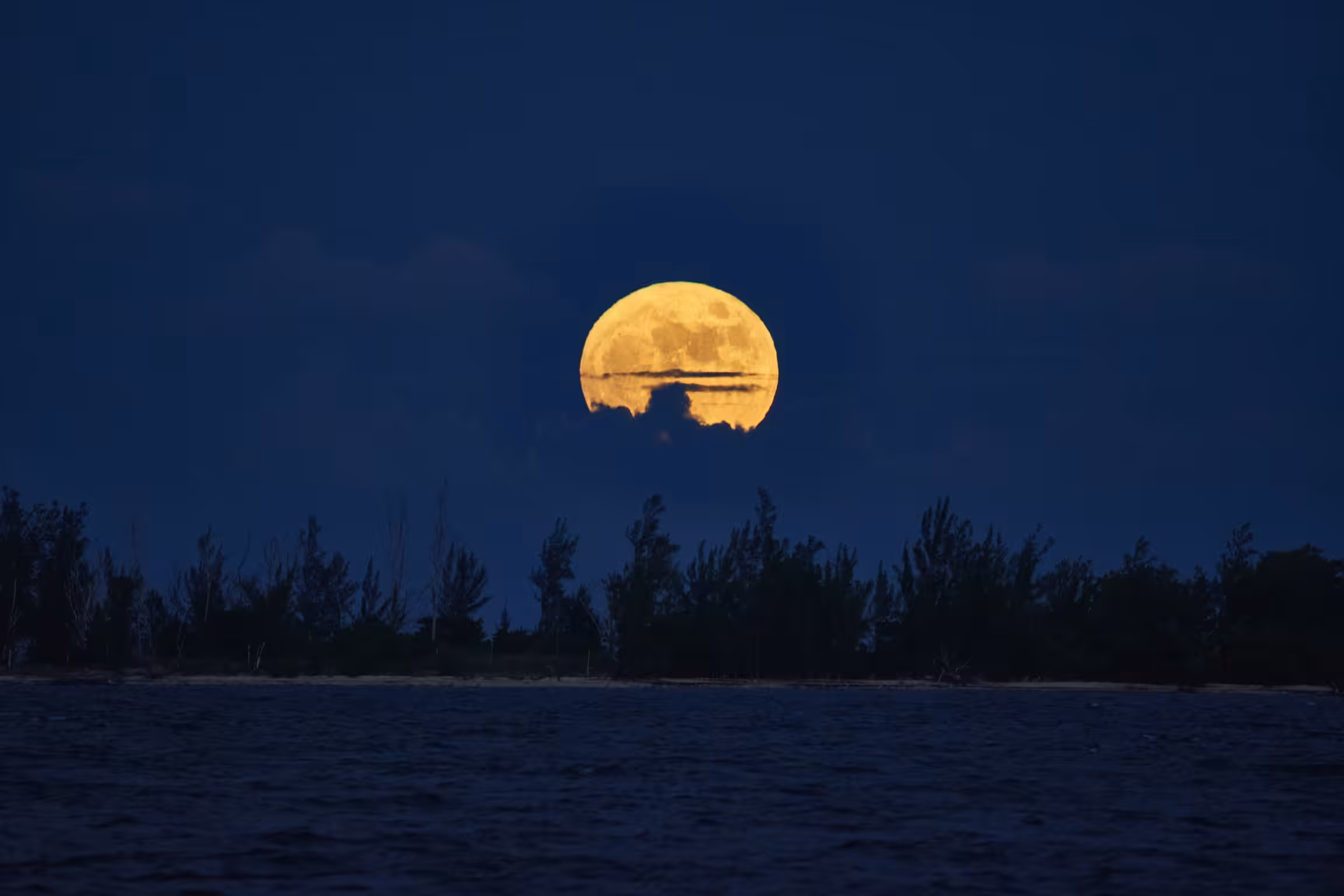 Moon 