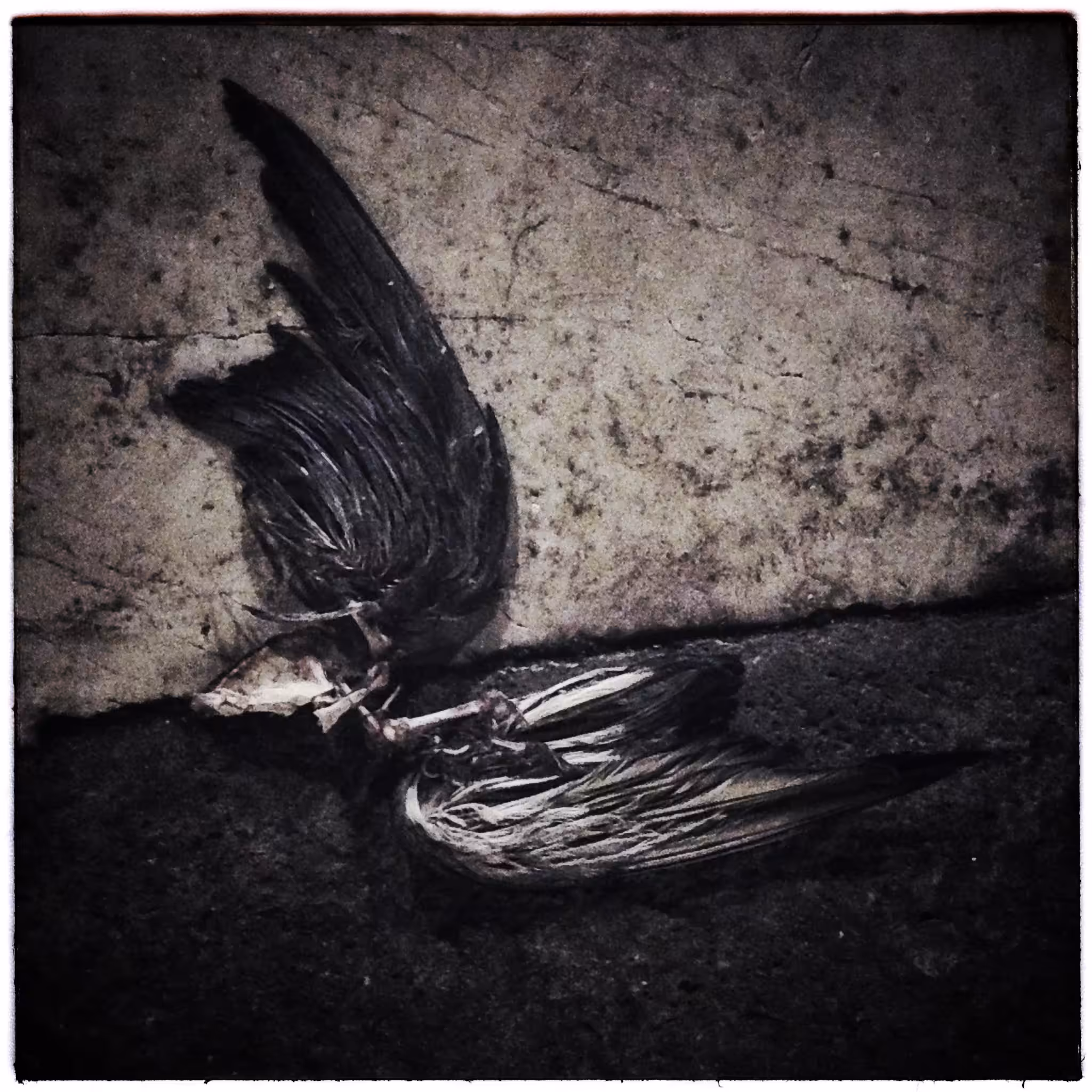 DISCARDED