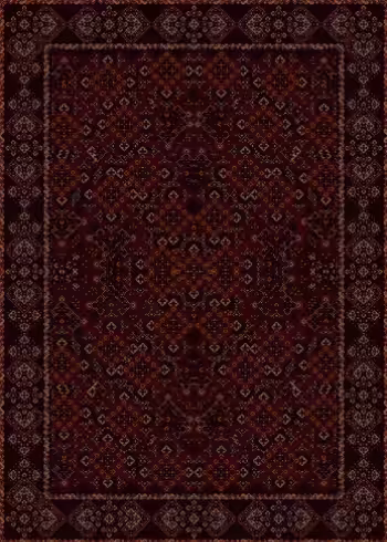 Carpetdiem #0355