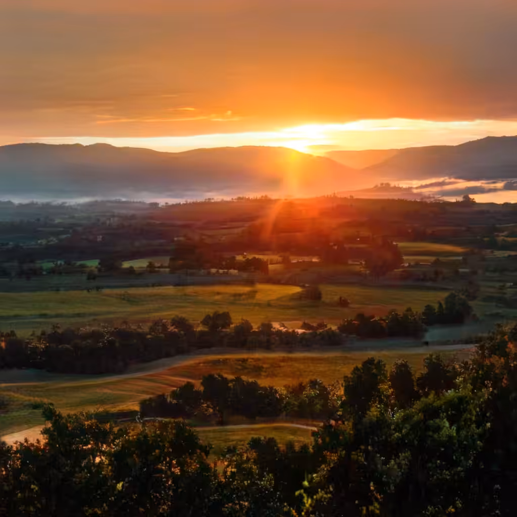 Dreamotion Scapes #2