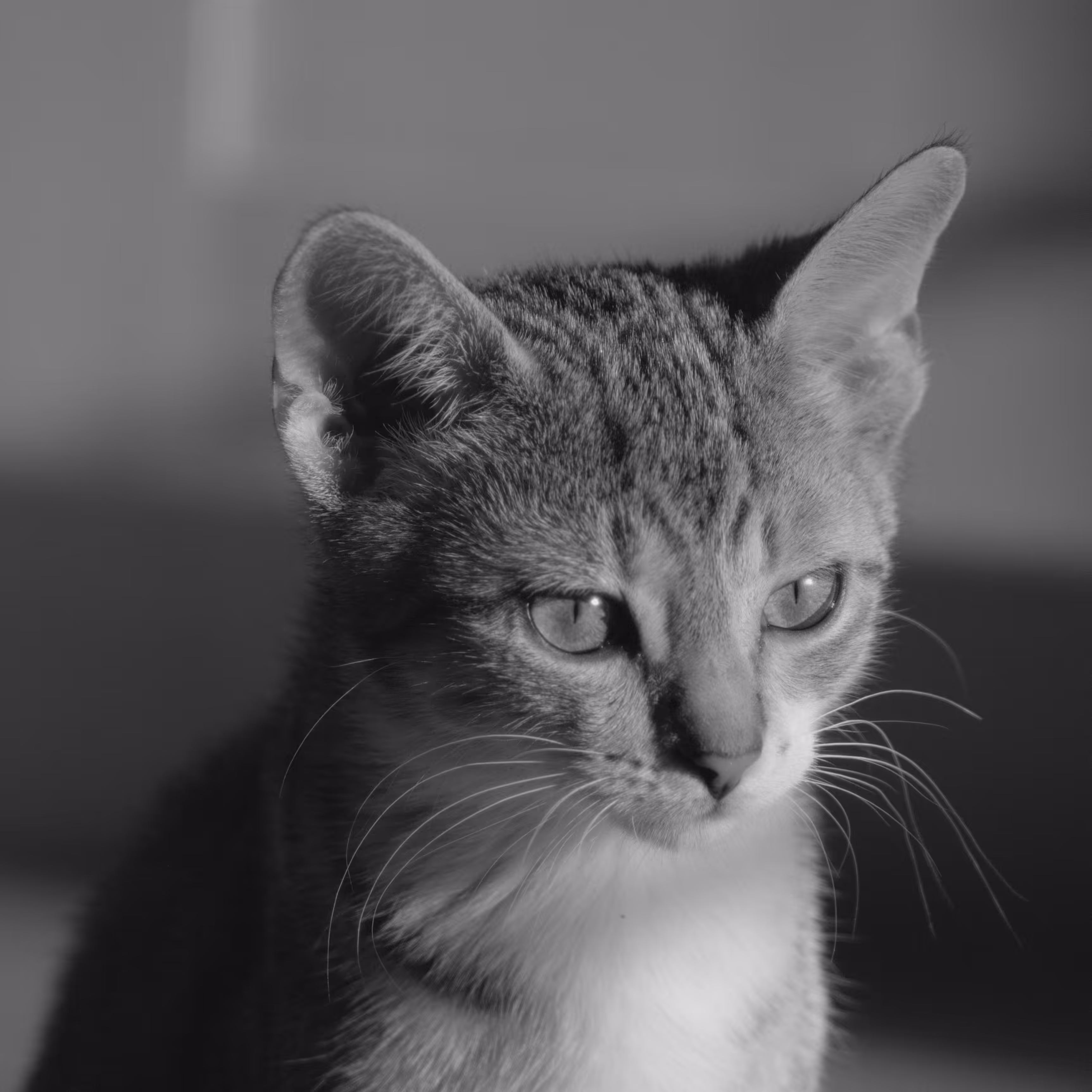 SQR/0010