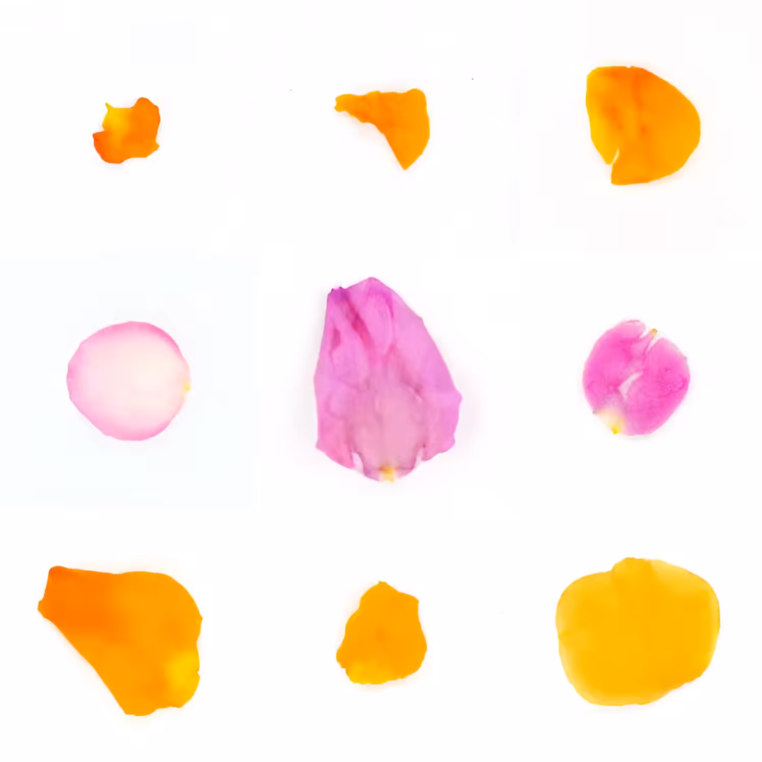 Infinite Petals 3x3#2846
