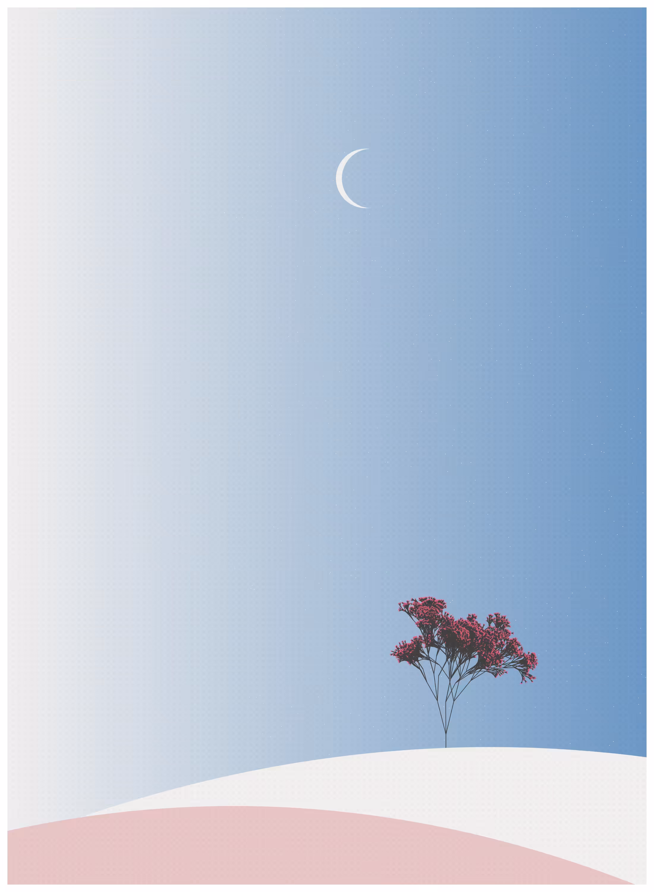 Ecos de Calma #116