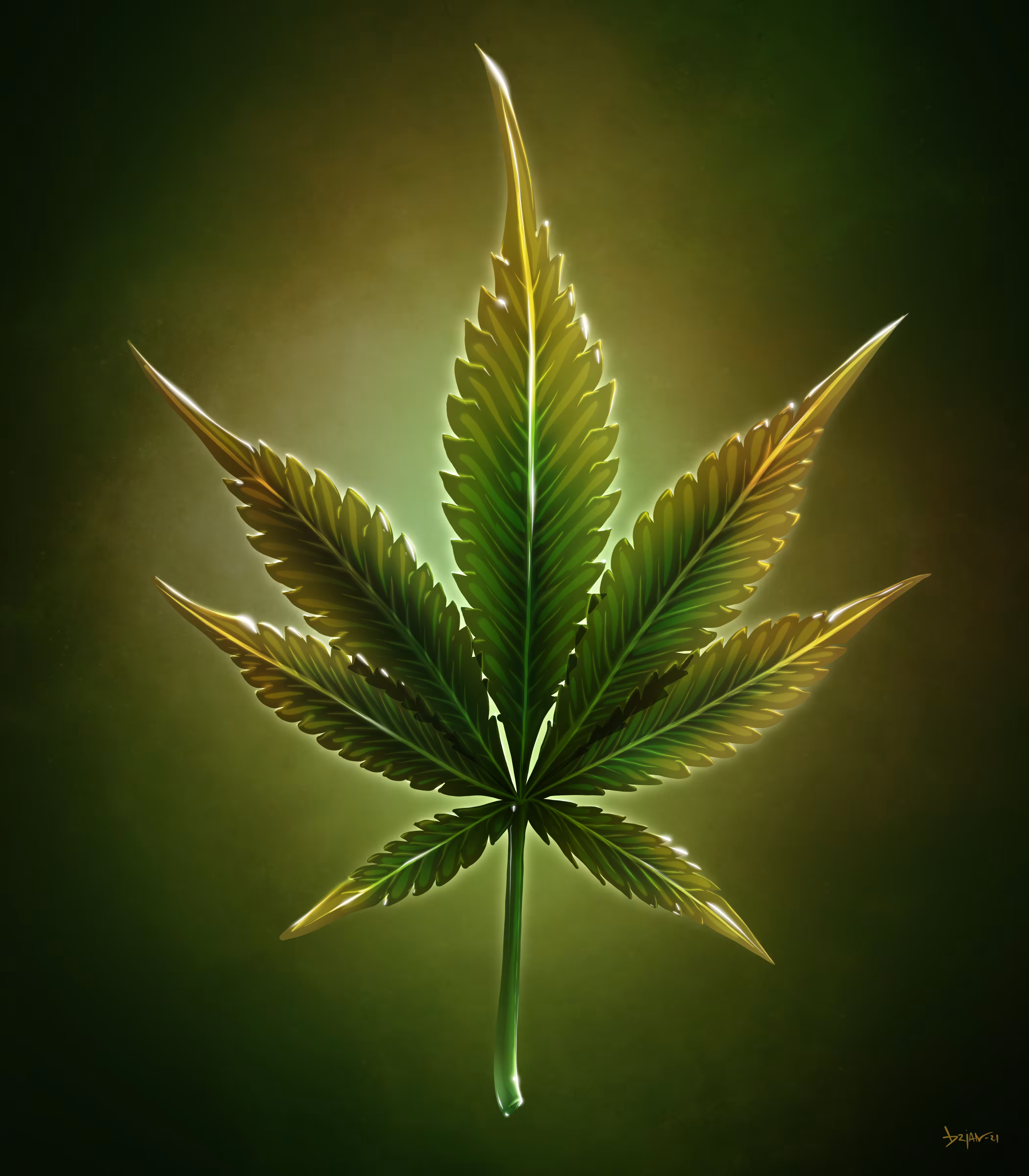 Sweet Leaf in Forest