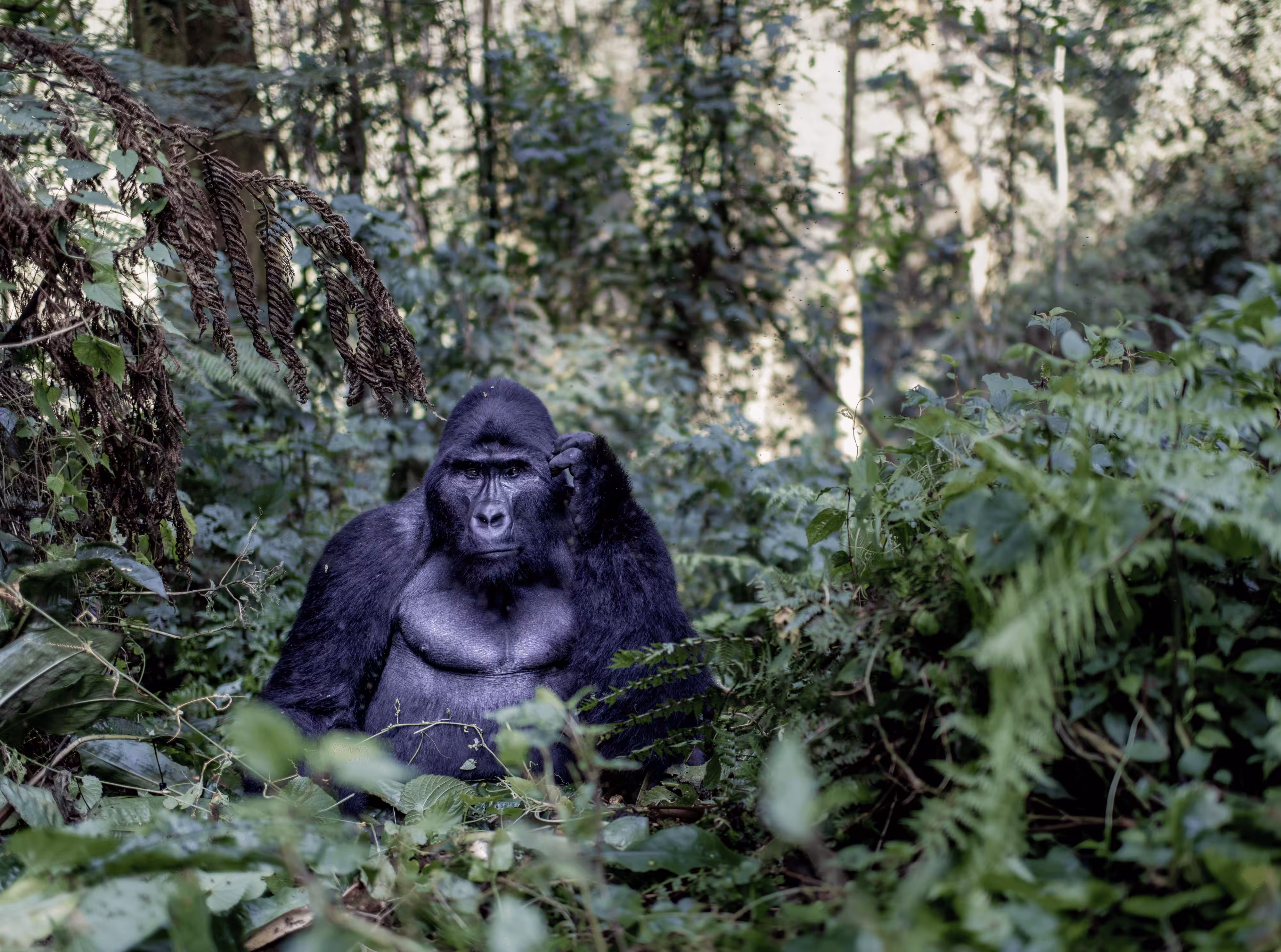 Einstein, Uganda, 2021