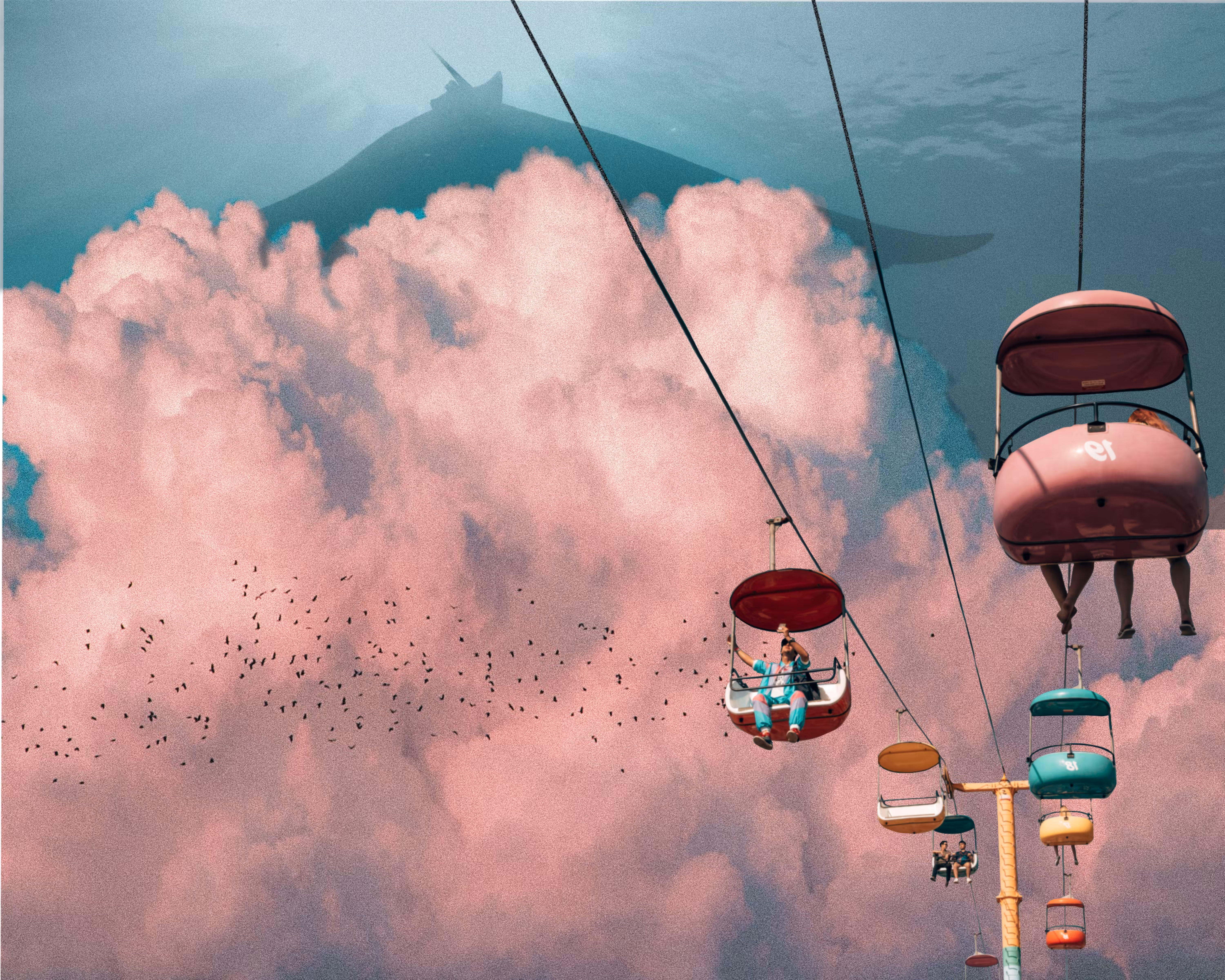 New Heights