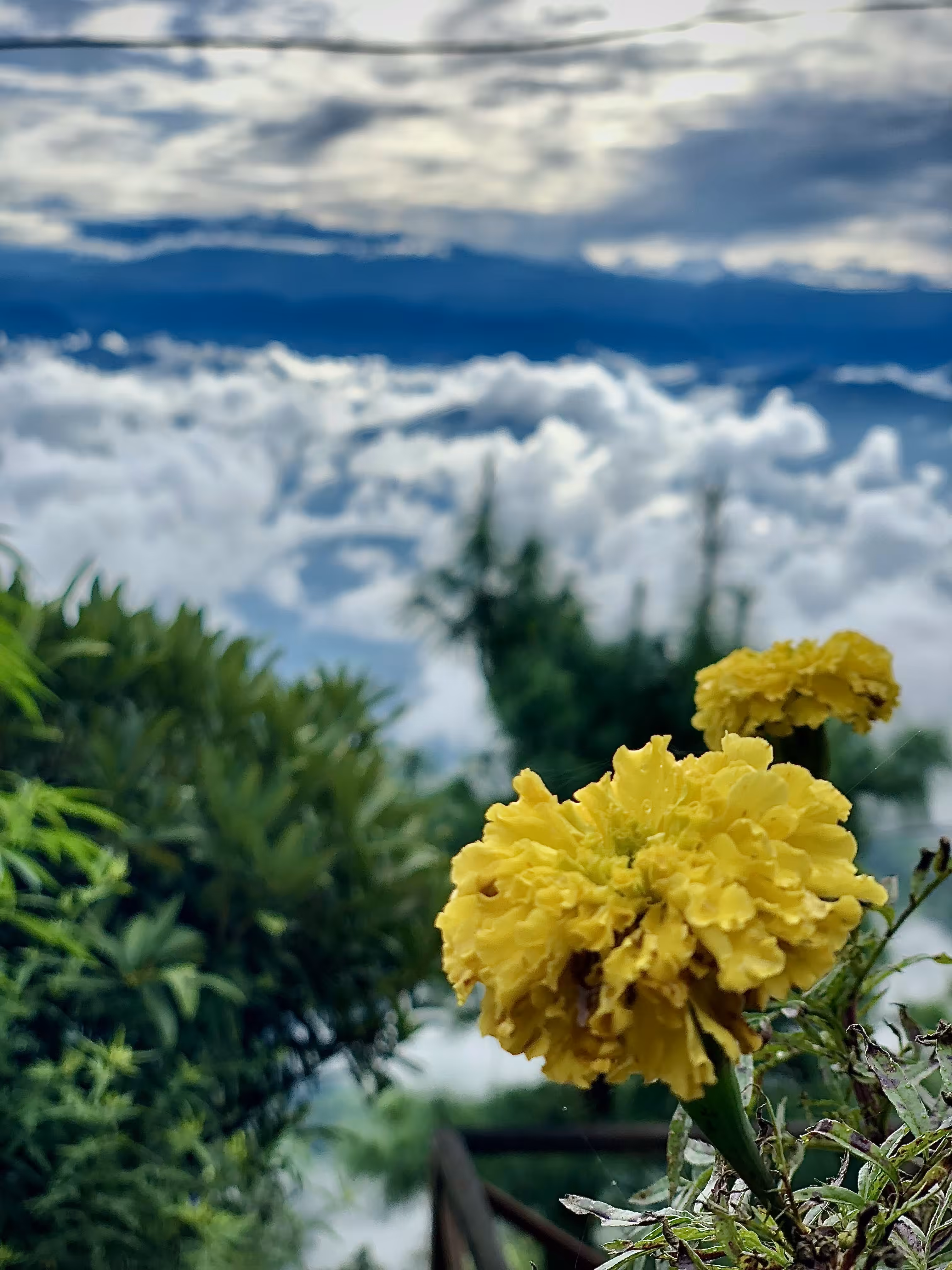 Above the clouds 
