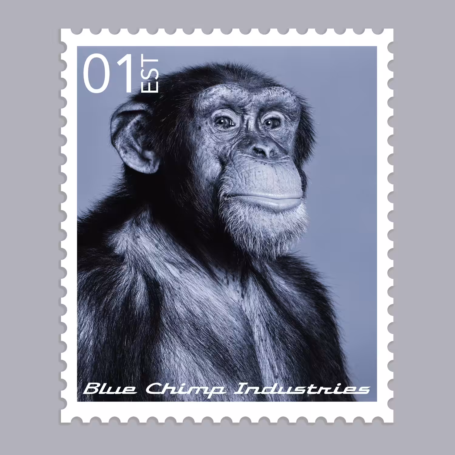 Blue Chimp® Stamp #71/119