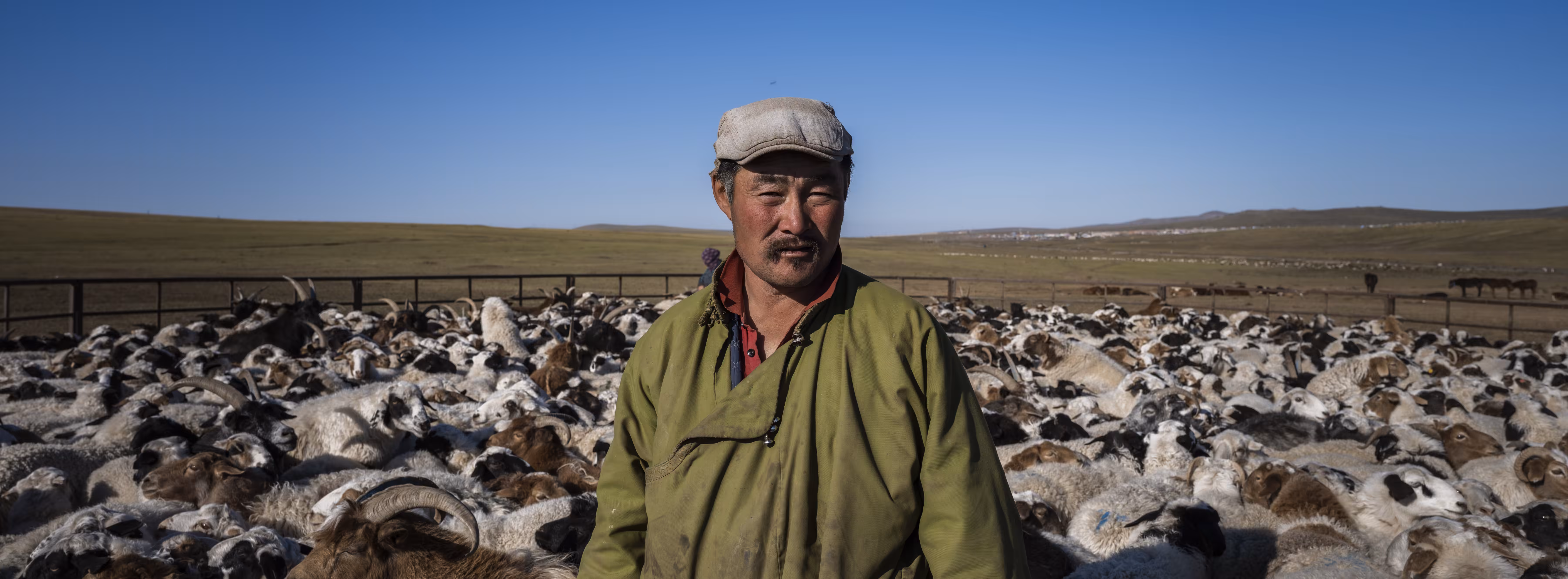 PanoraMongolia: Сайн уу (Sain uu): #8 The Shepherd