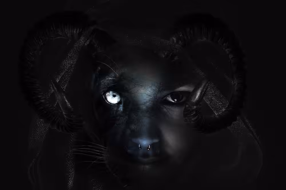 Metamorphic ( BLACK EVIL )