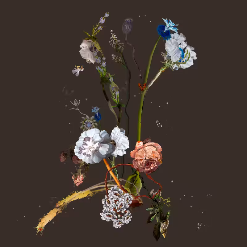 Generative Still Life: Still Life 17.0 #8