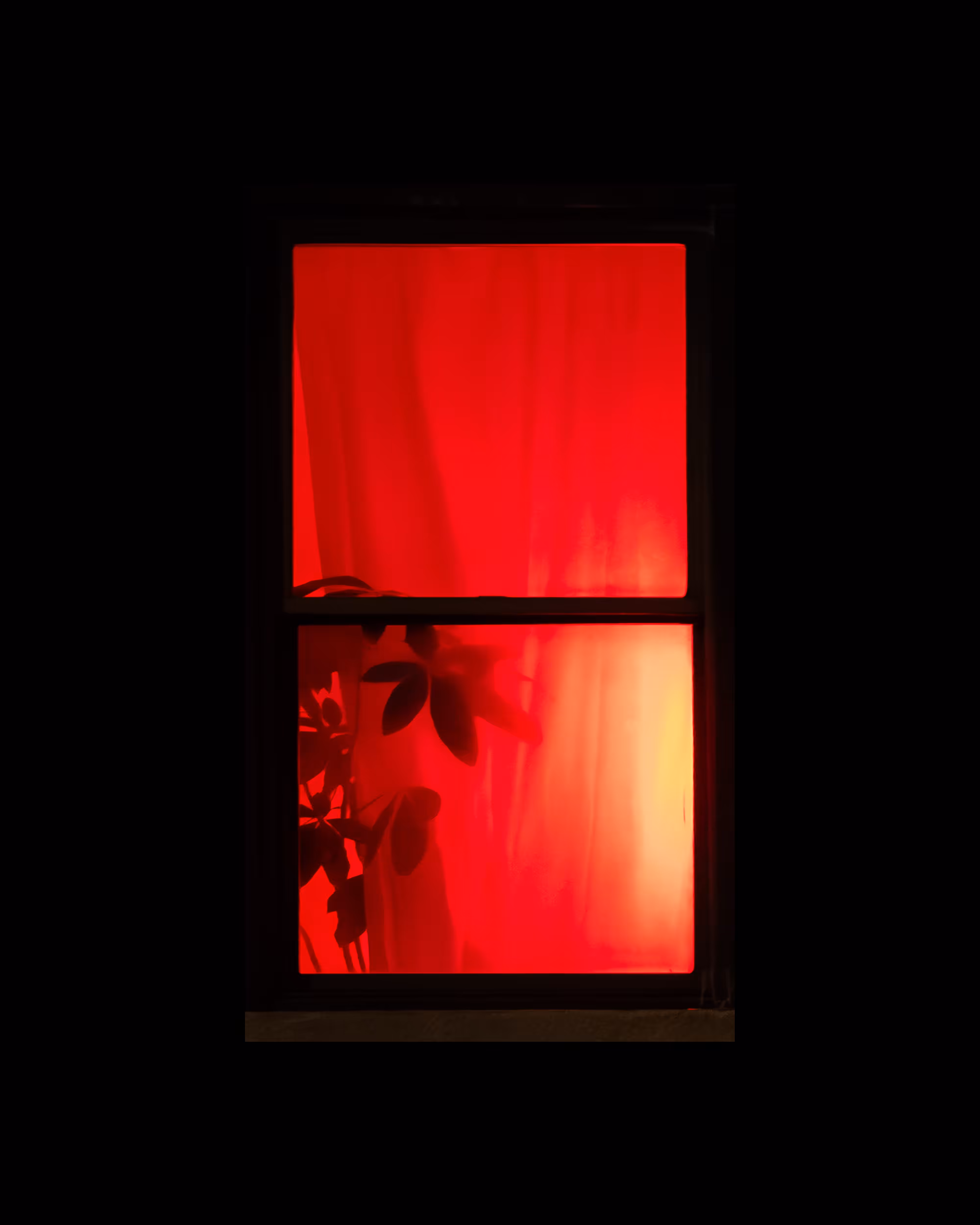 WINDOWS // NYC: WINDOW 427