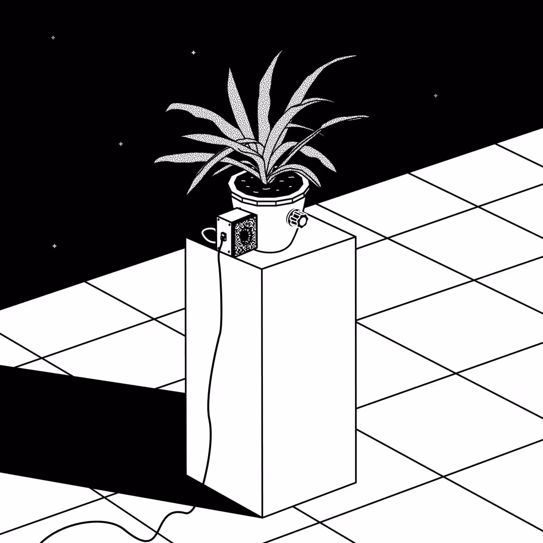 vibes
