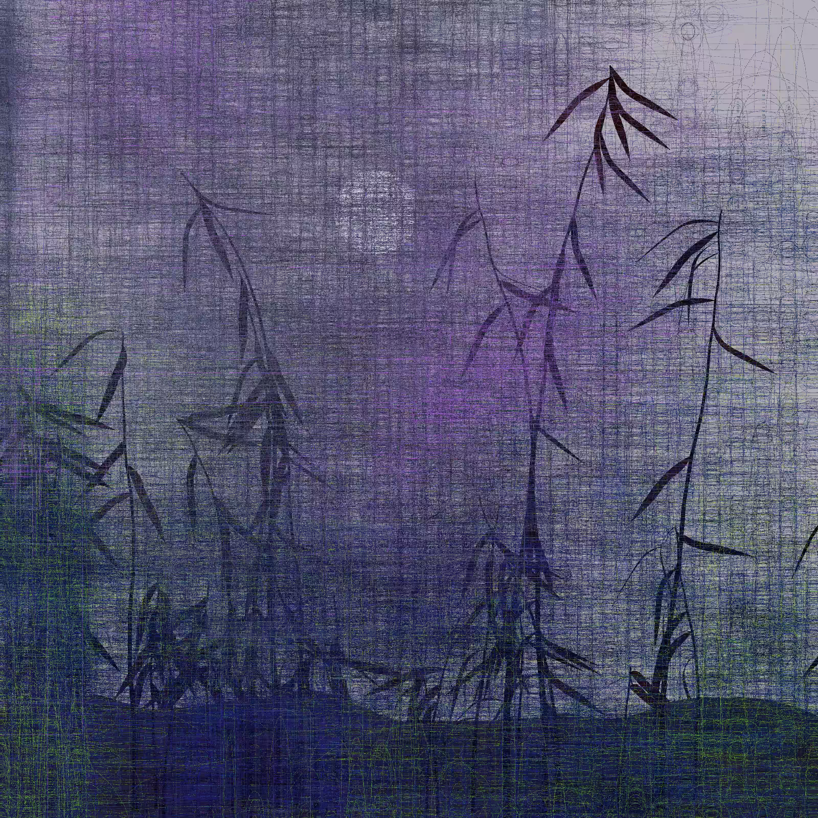 Echoes #6