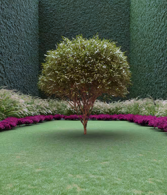 Garden of Imagination #63