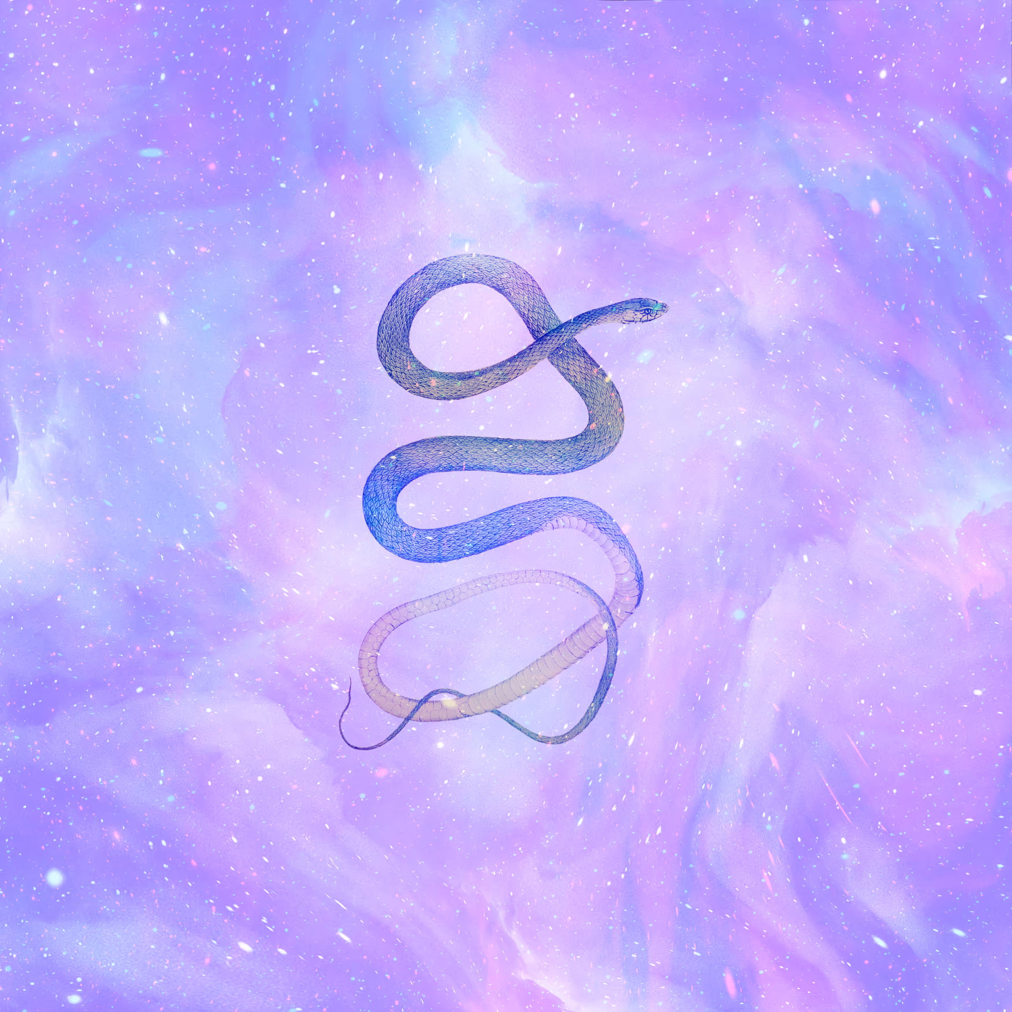 gradient nº01 [space serpent]