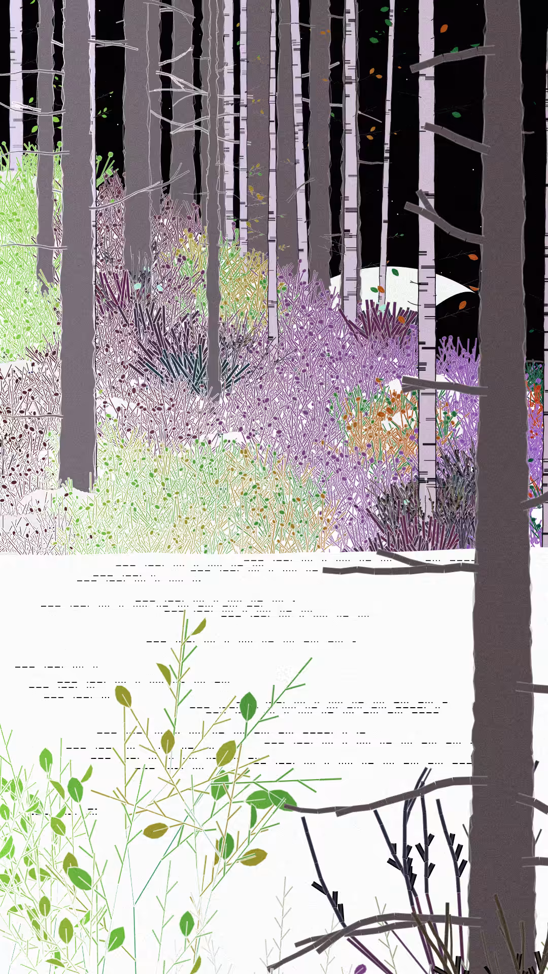Swedish Forest #185