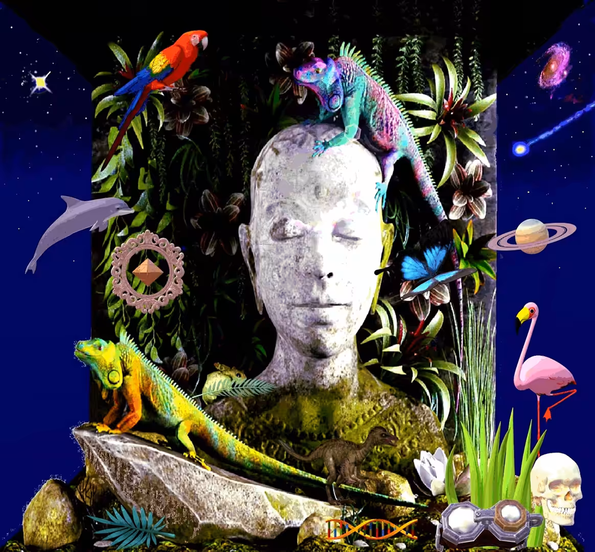 Cosmic Buddhist  Vibrations