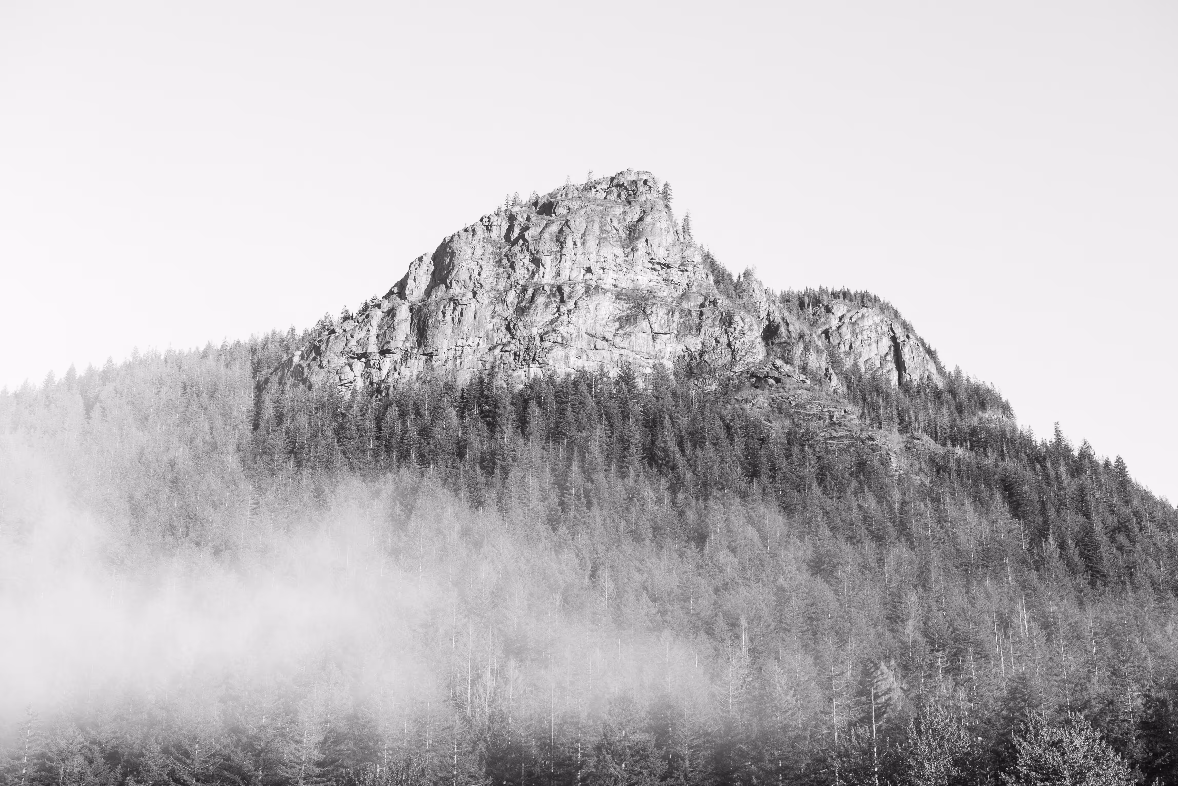 Monochrome Klick