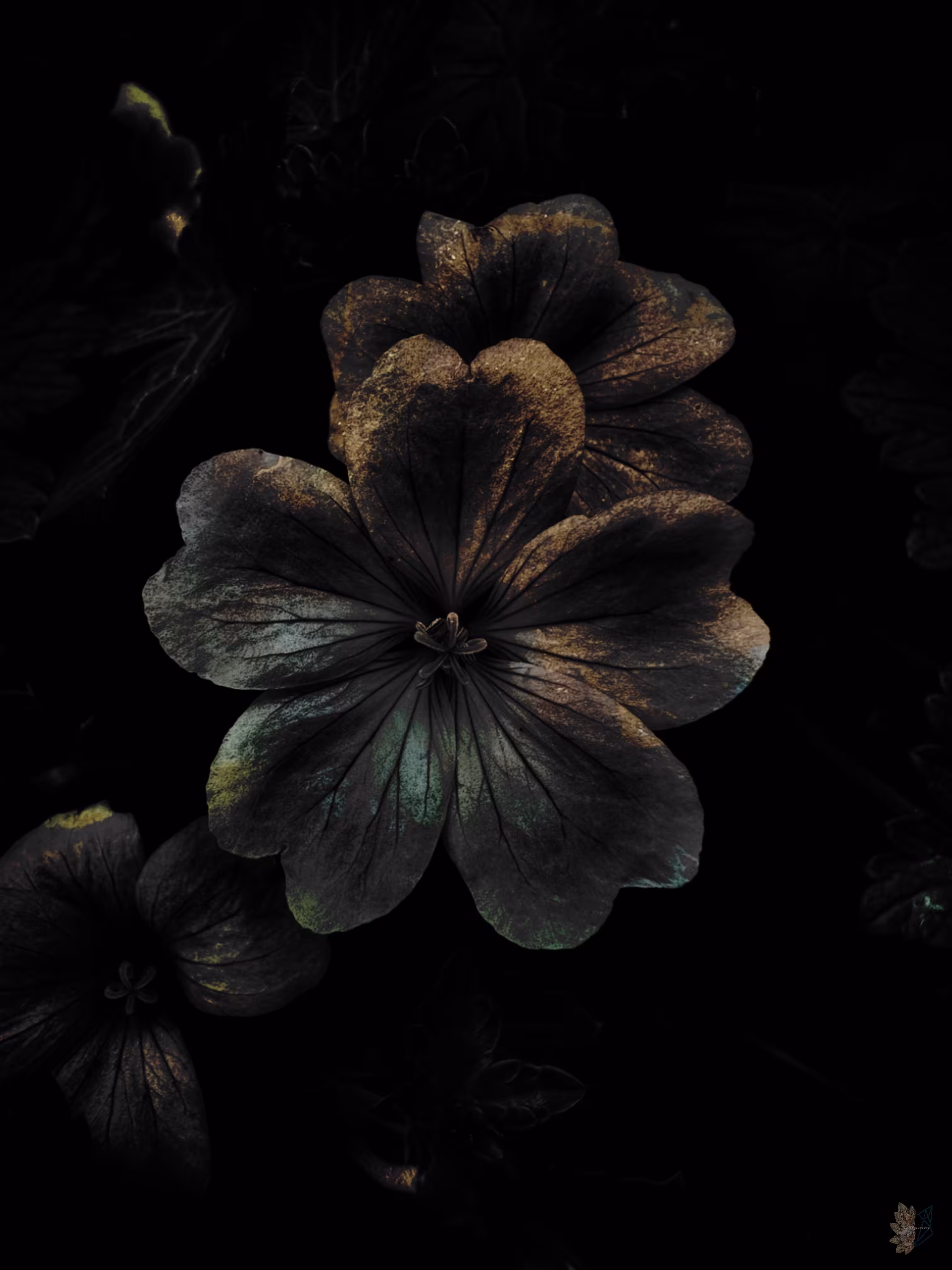 Resplendent Beauty