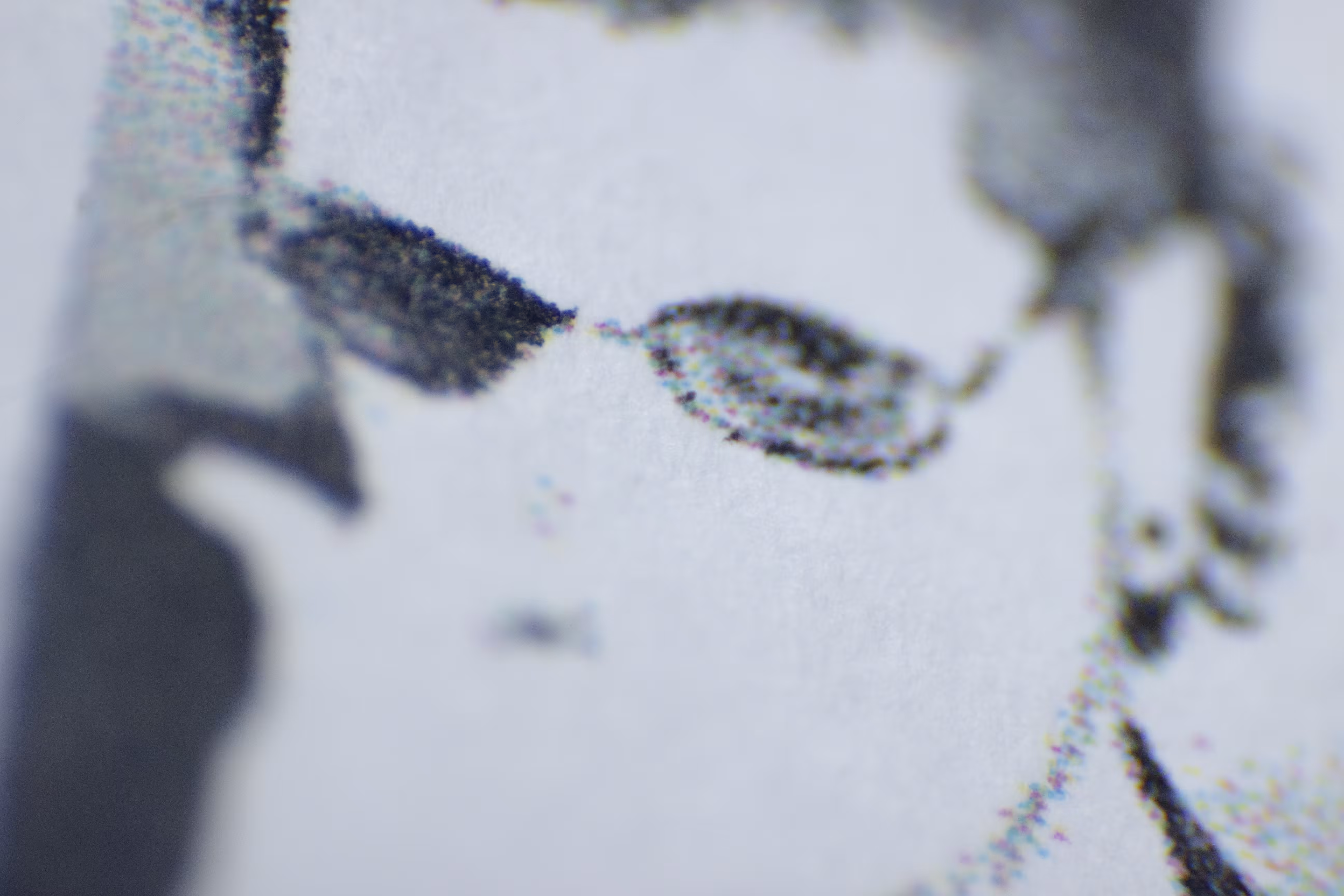 macro1