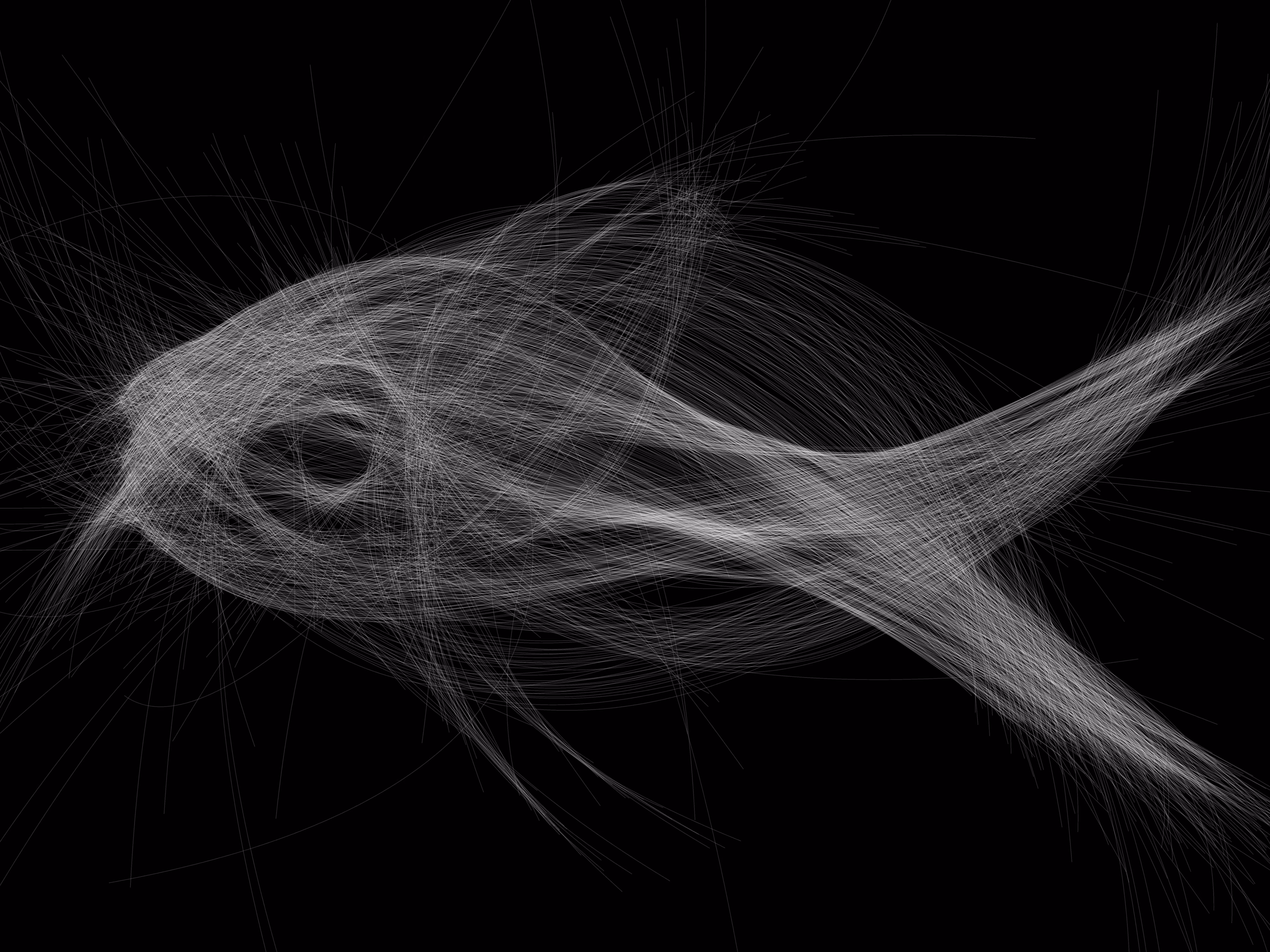 Underwater 31