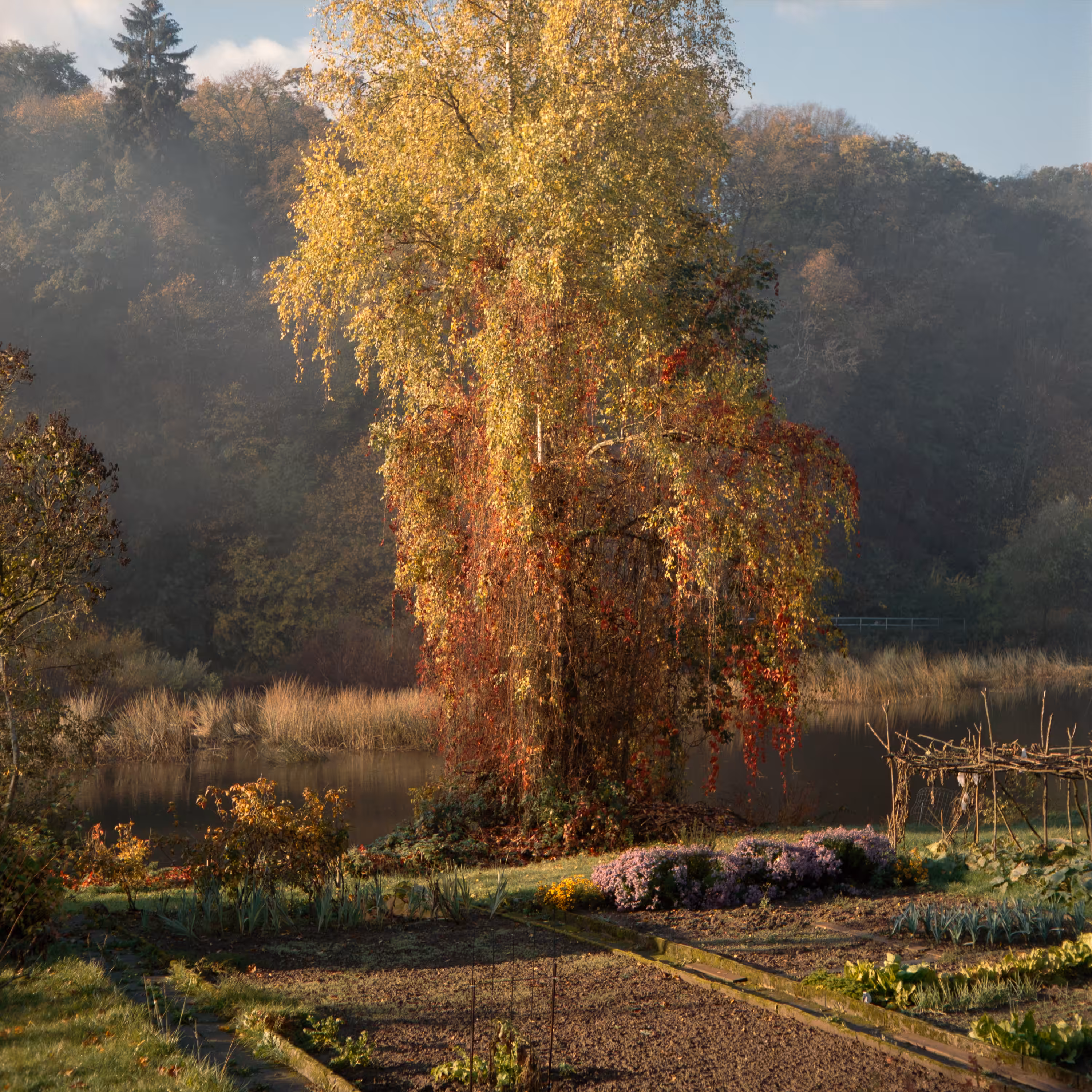 Autumn Serenity