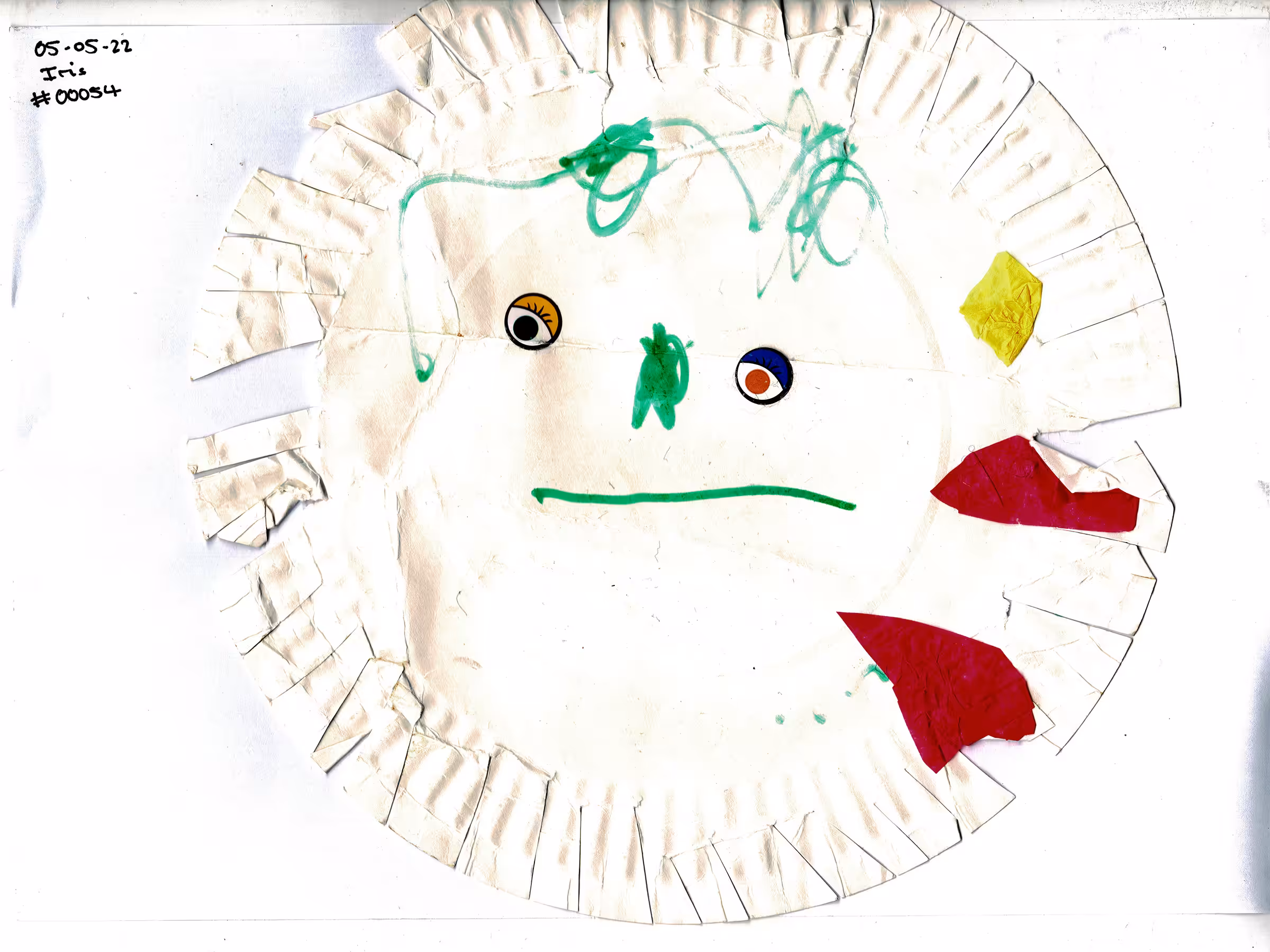 #00054 Lion Face 220505