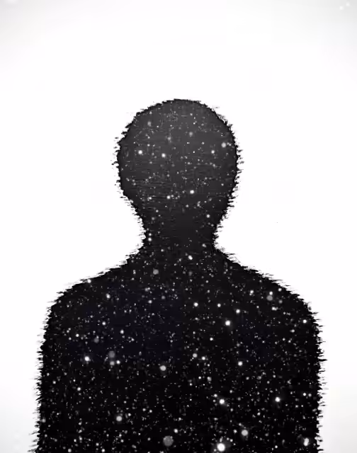Silhouette #2