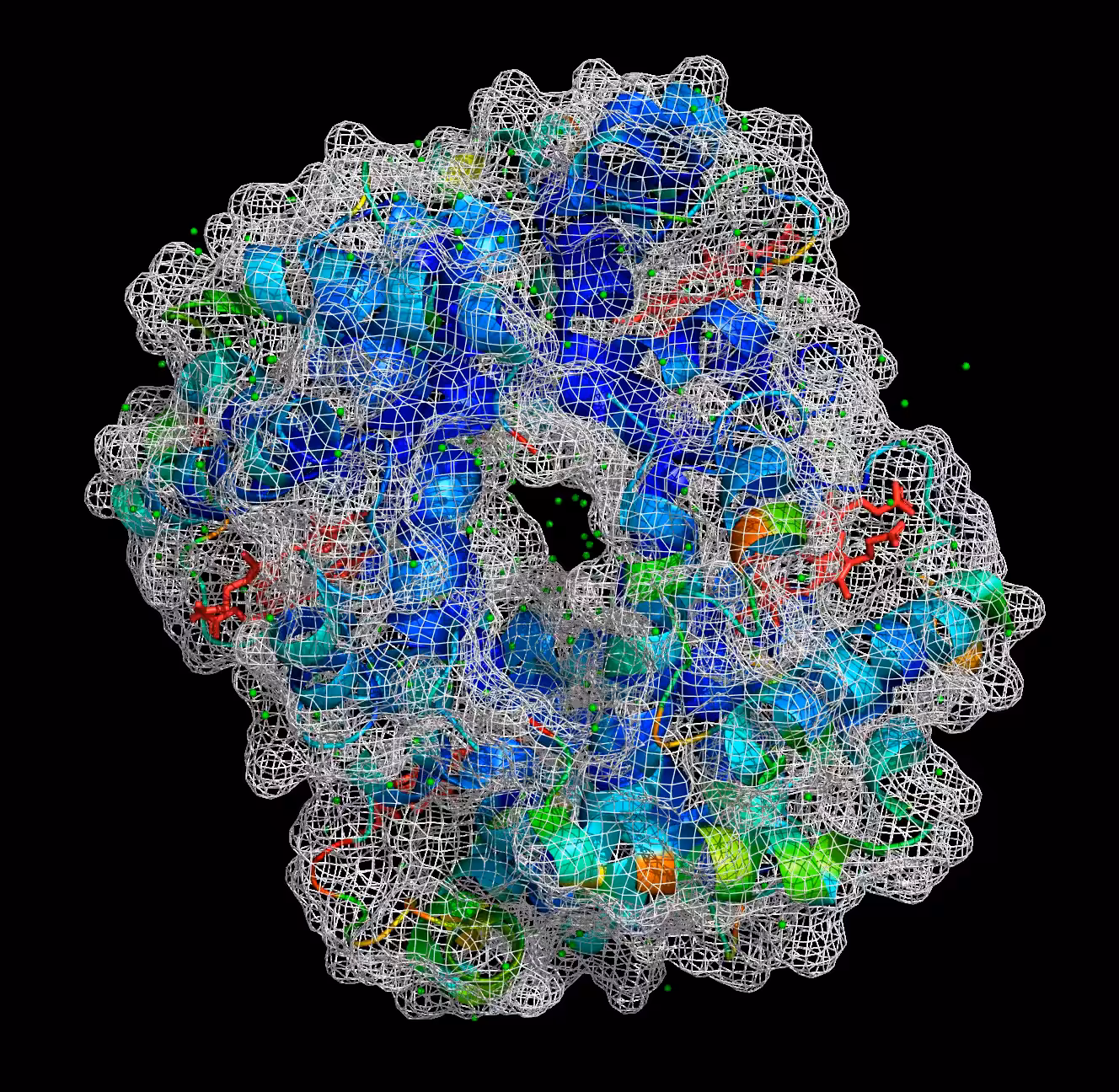 Hemoglobin cage