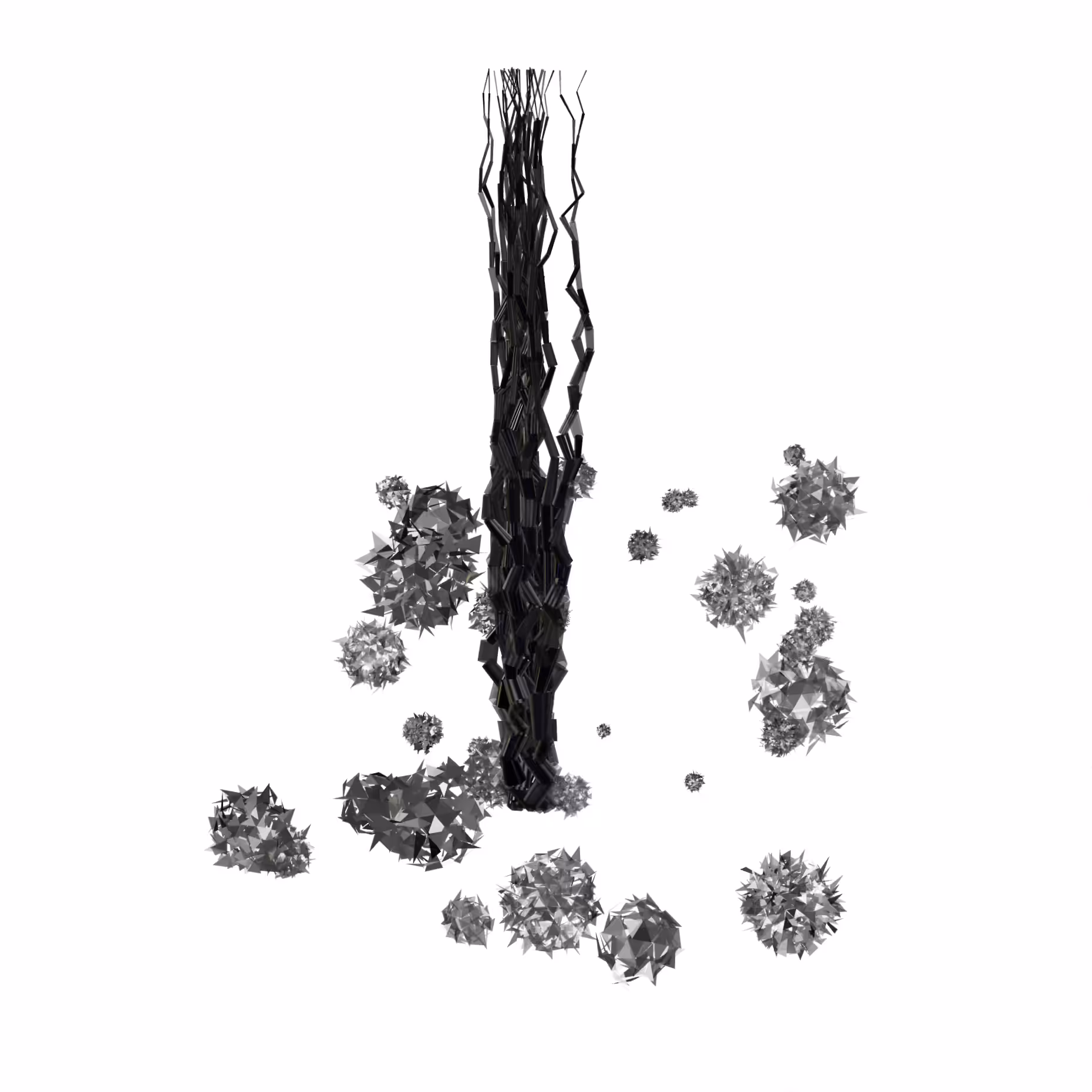 cnidarian