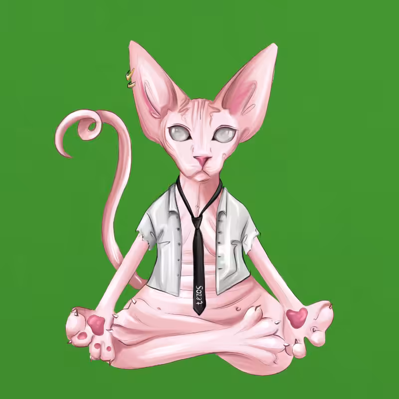 YogaCat #19