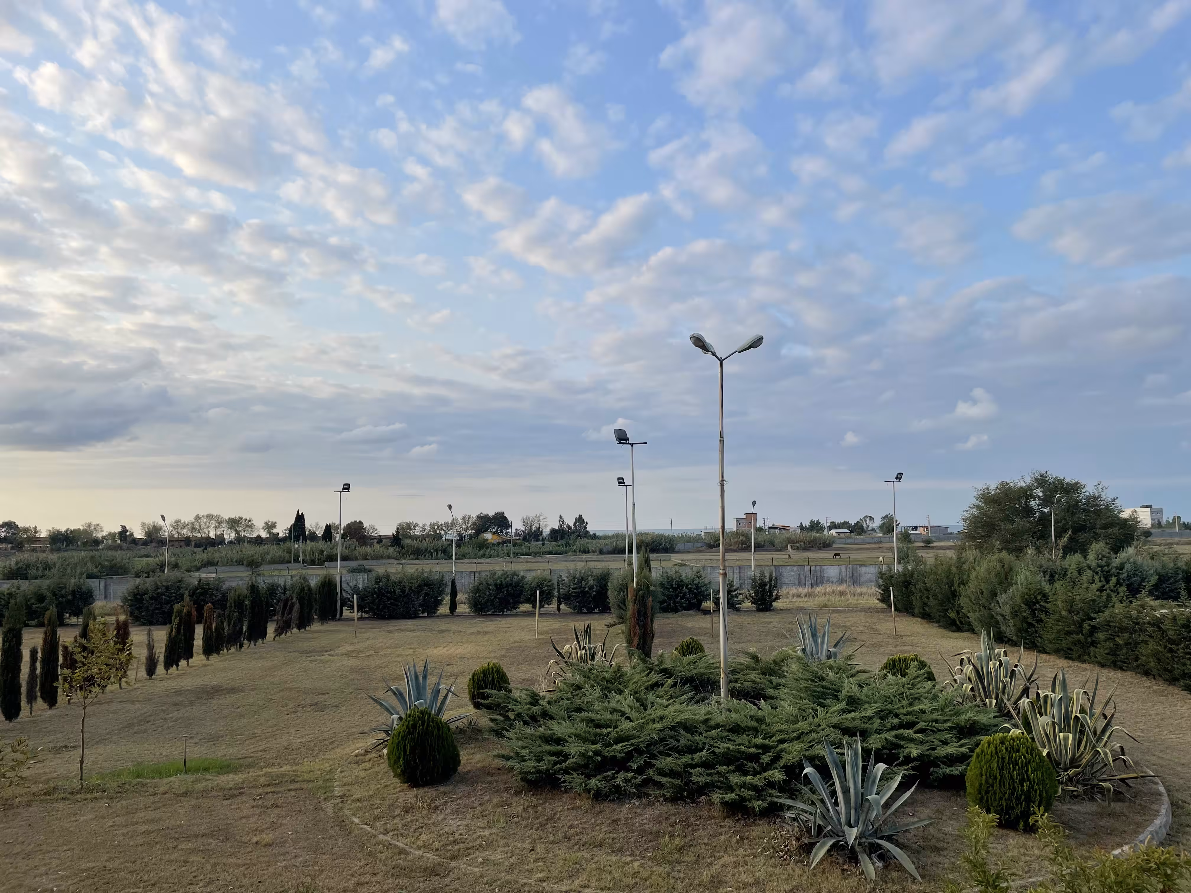 park