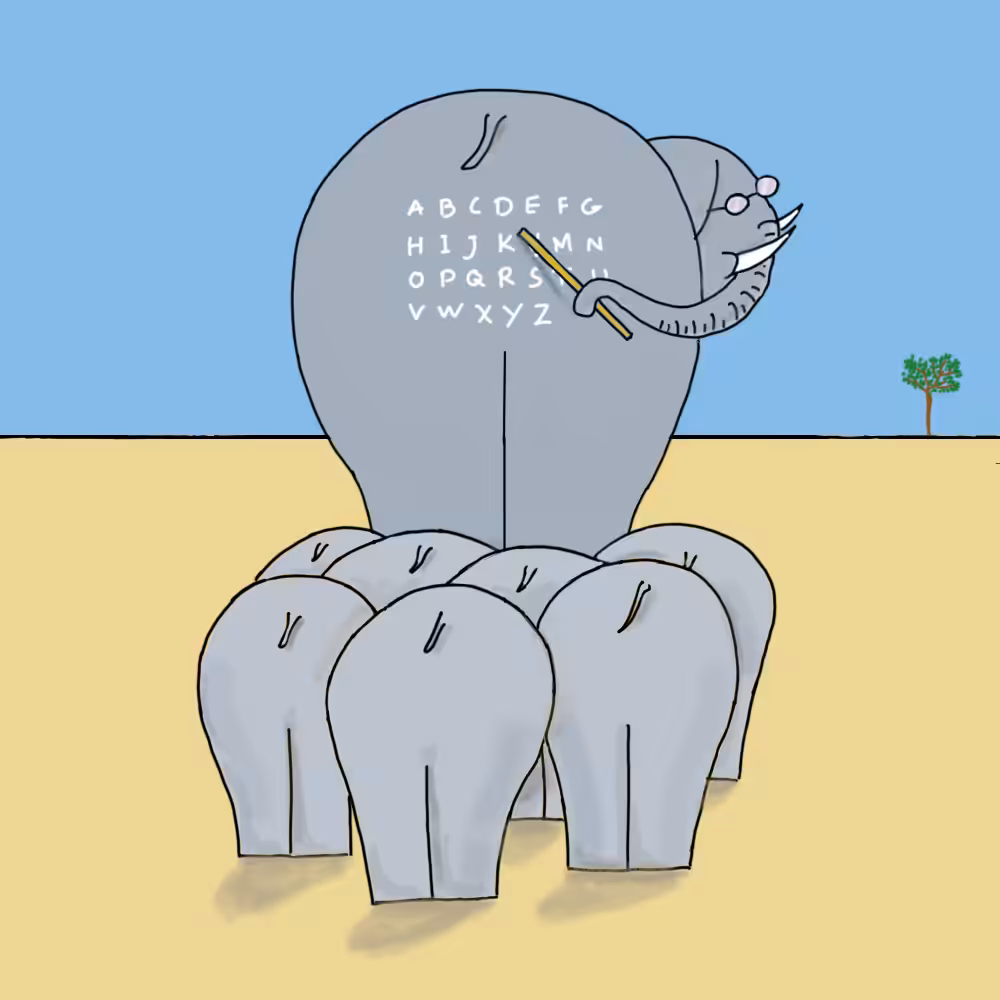 Elephant school #48