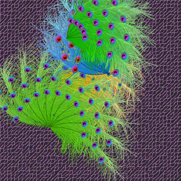 Oriental Peafowl Impression #1
