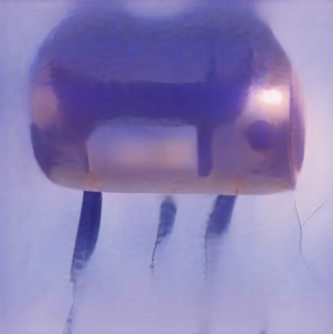 Jelly fish