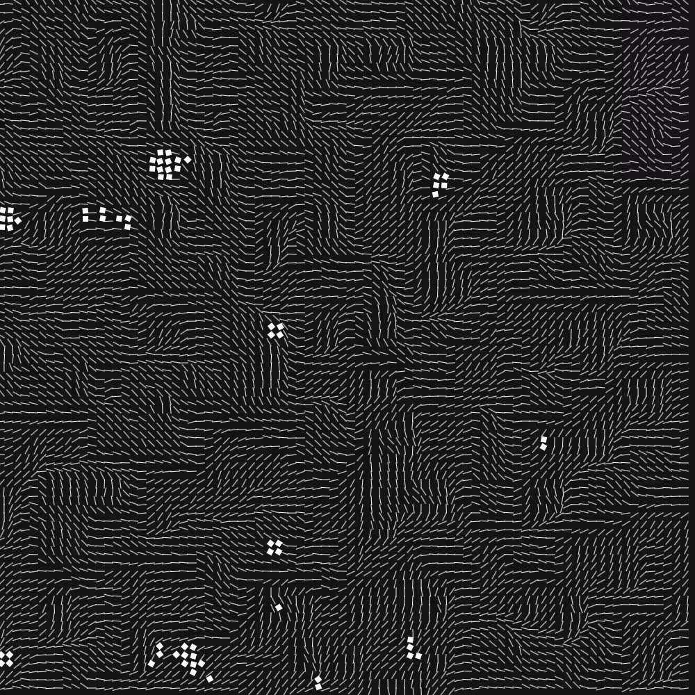 Geometric Fluidity #579