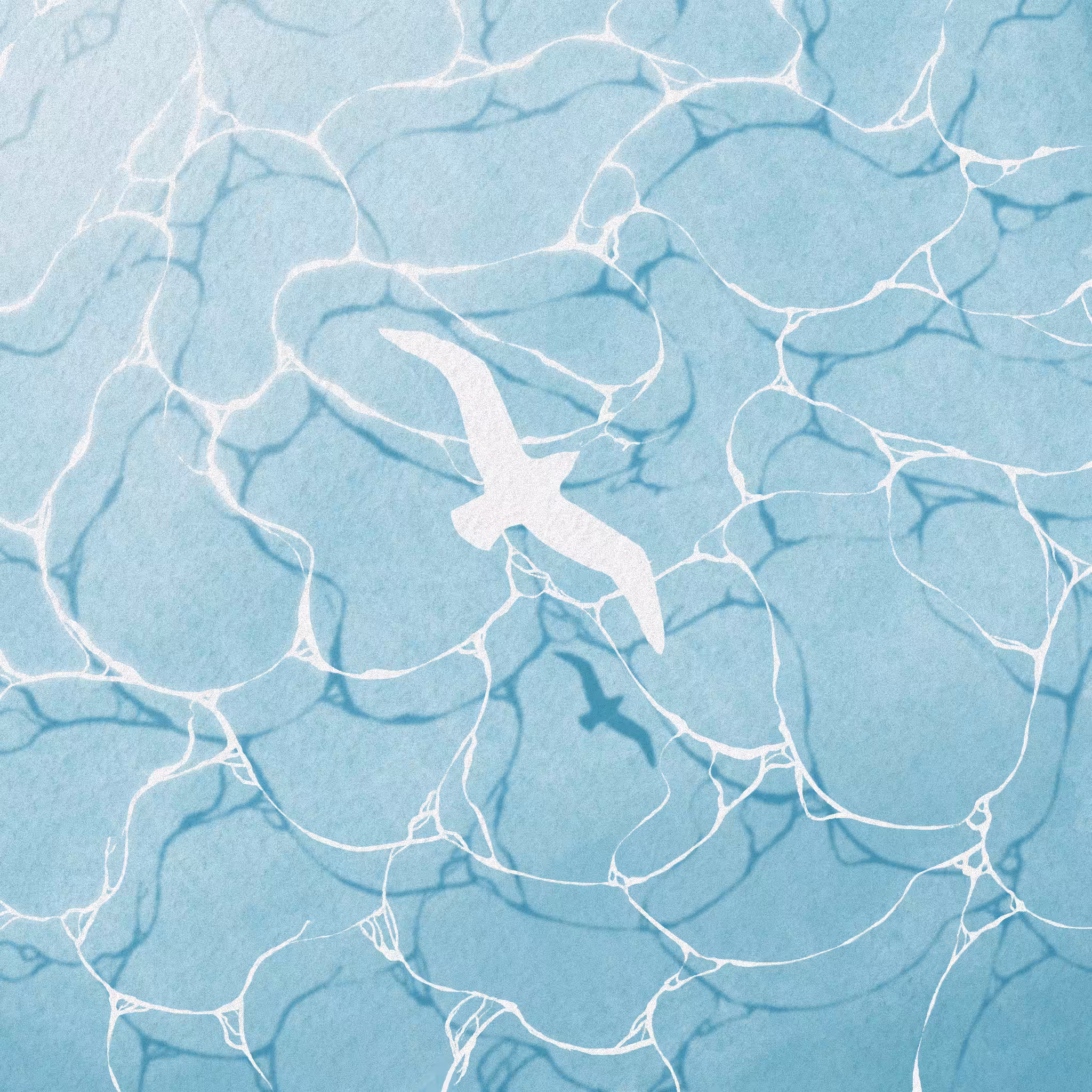 25 - water