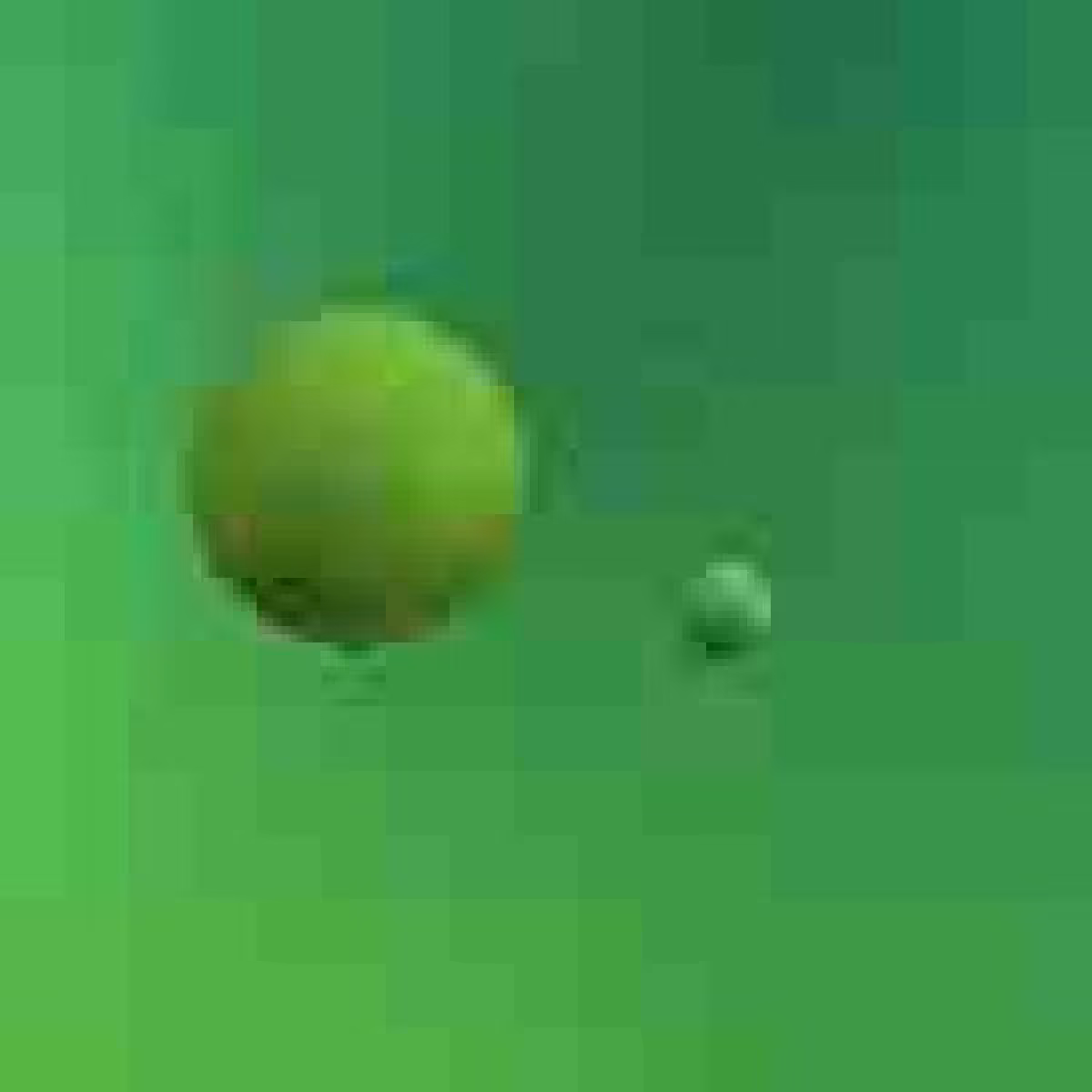 Orbit 663544954