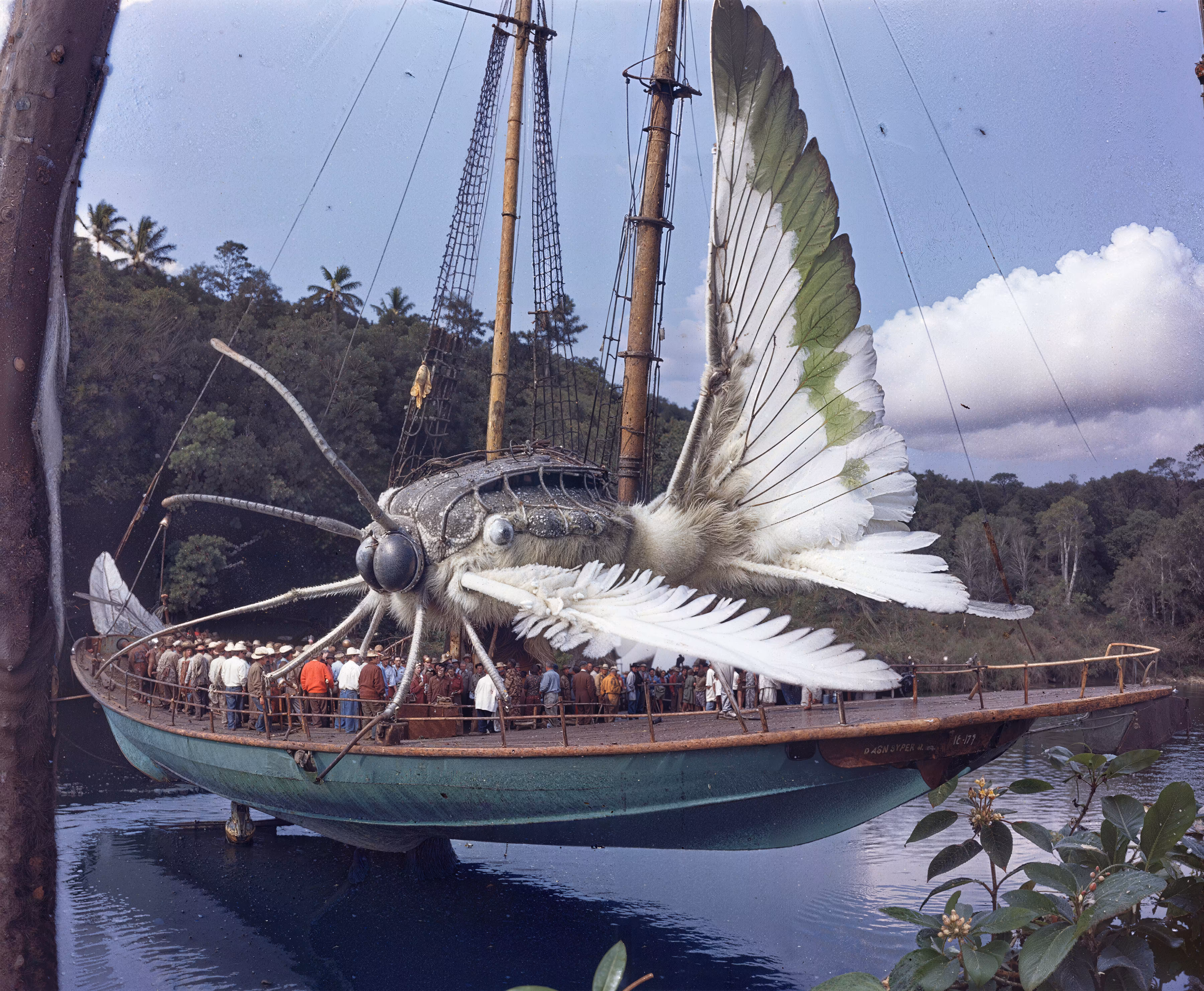 Moth Boat