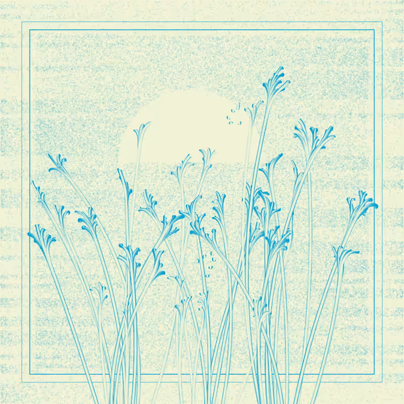 string_pllu #33